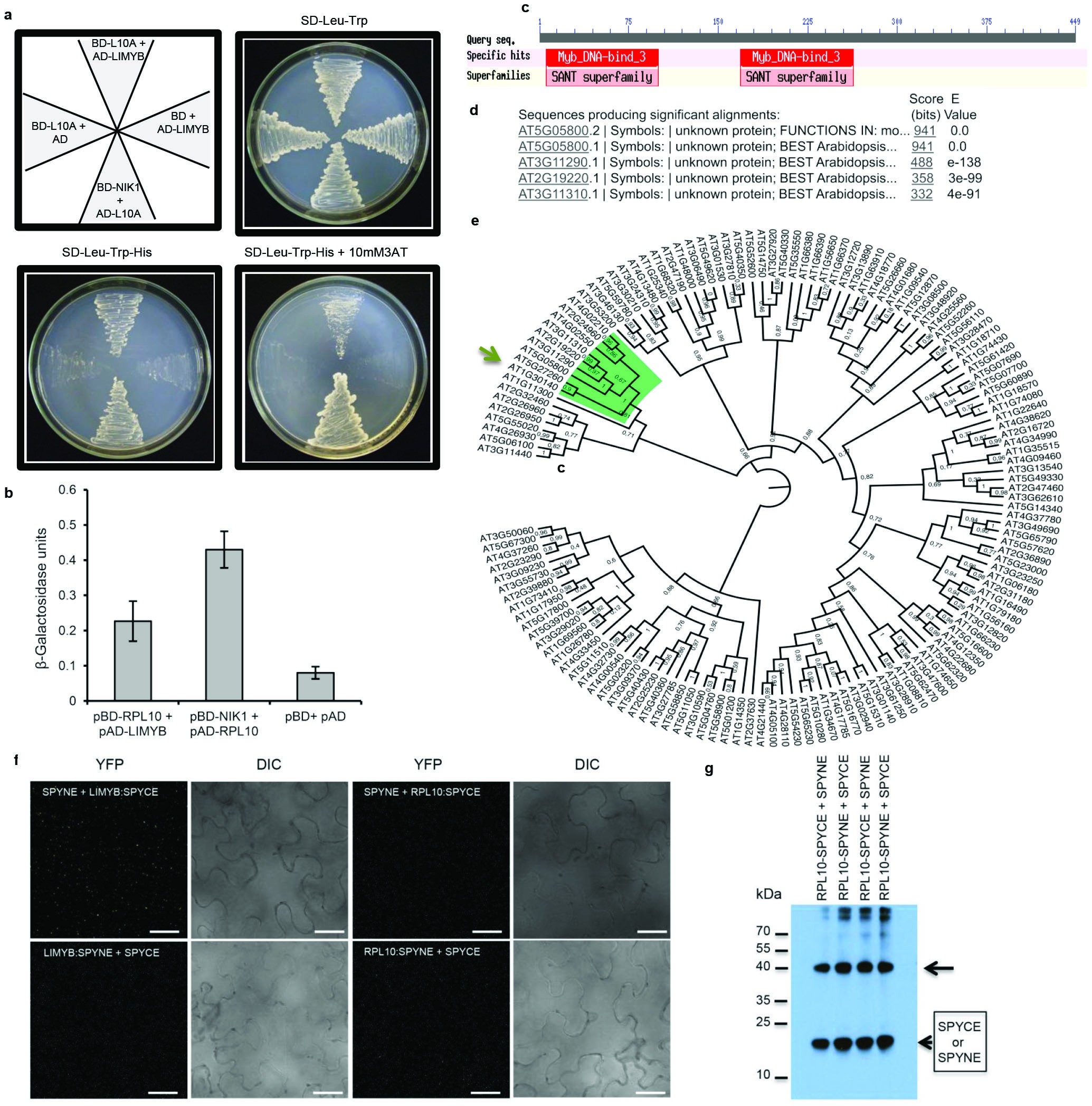 Extended Data Figure 6