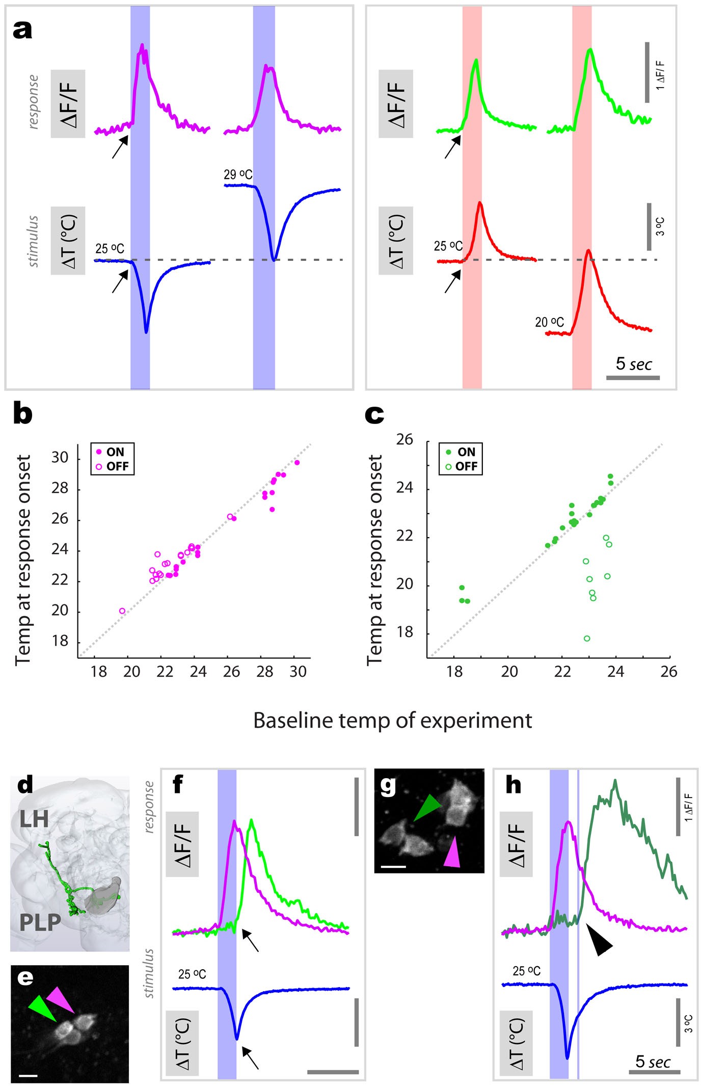 Extended Data Figure 6