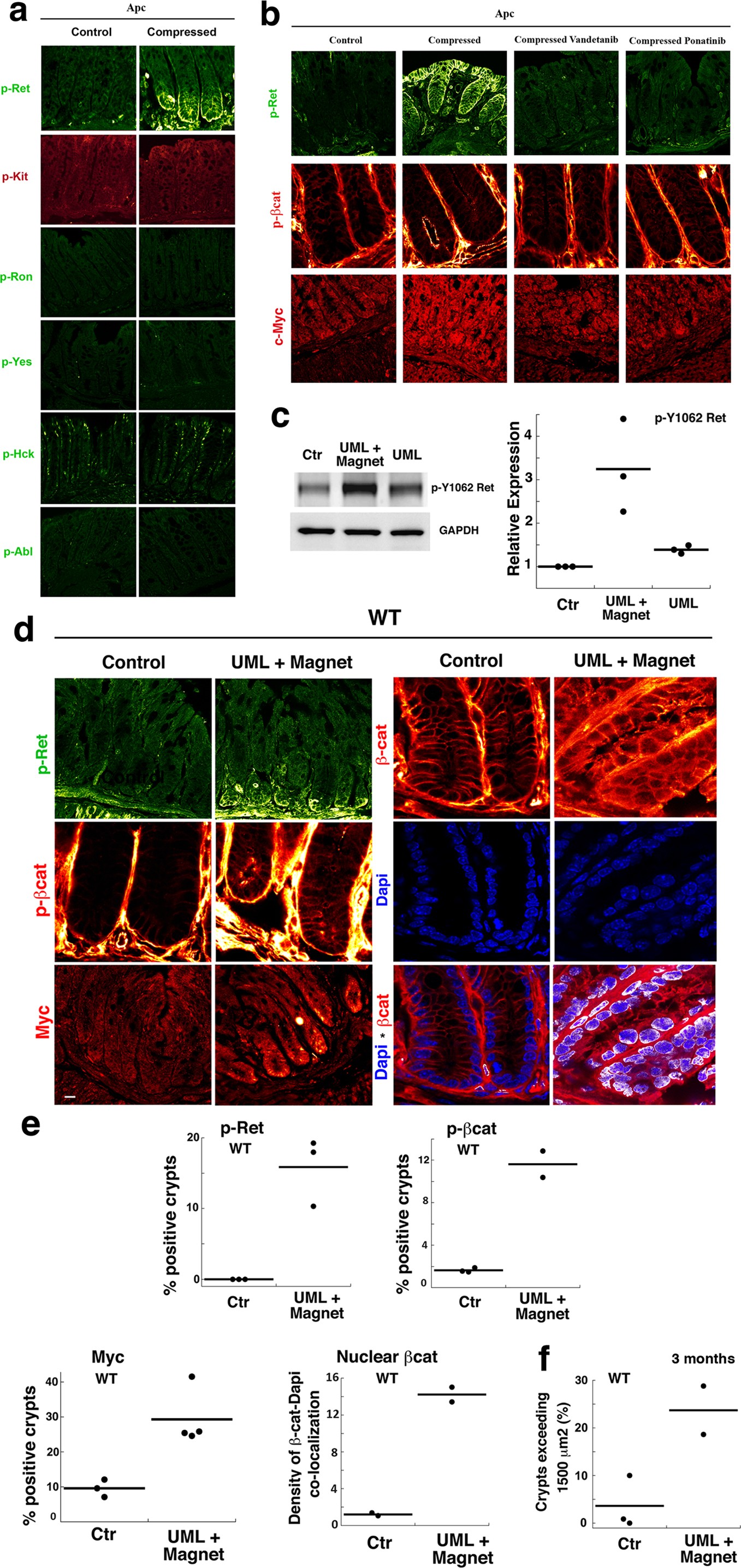 Extended Data Figure 6
