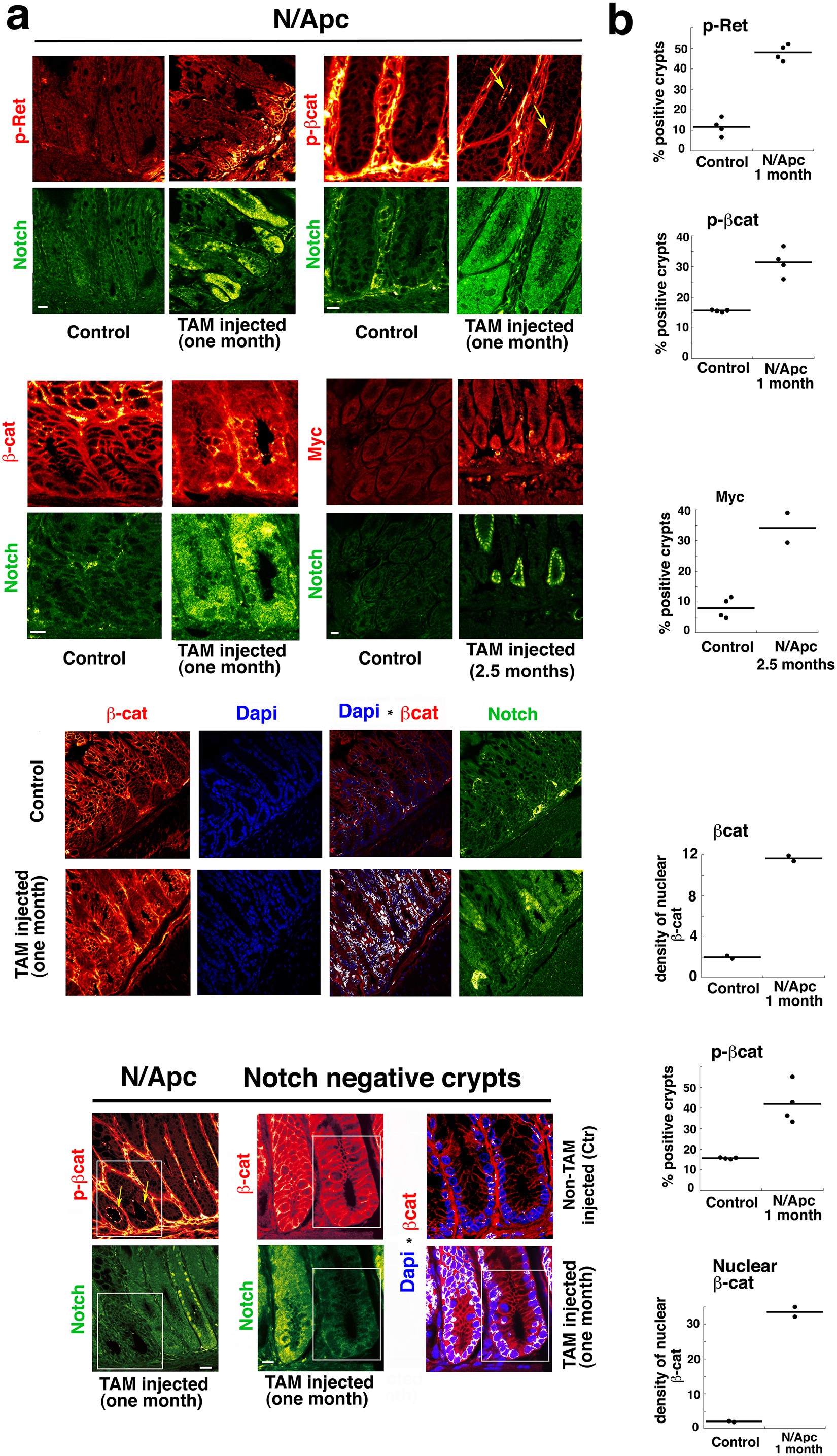 Extended Data Figure 8