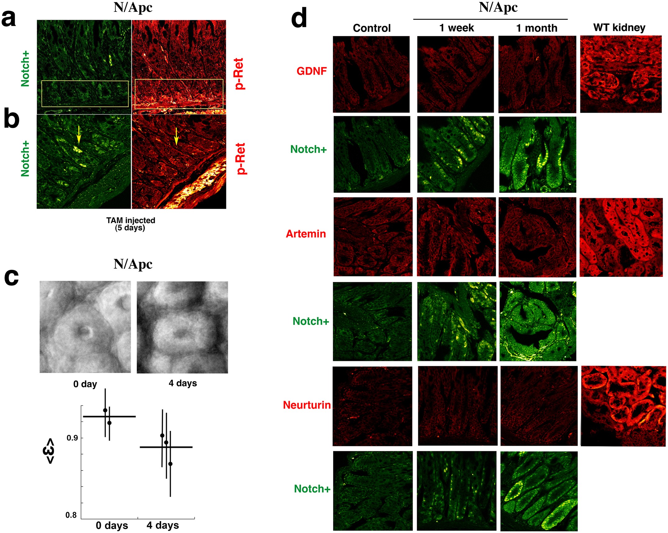 Extended Data Figure 9