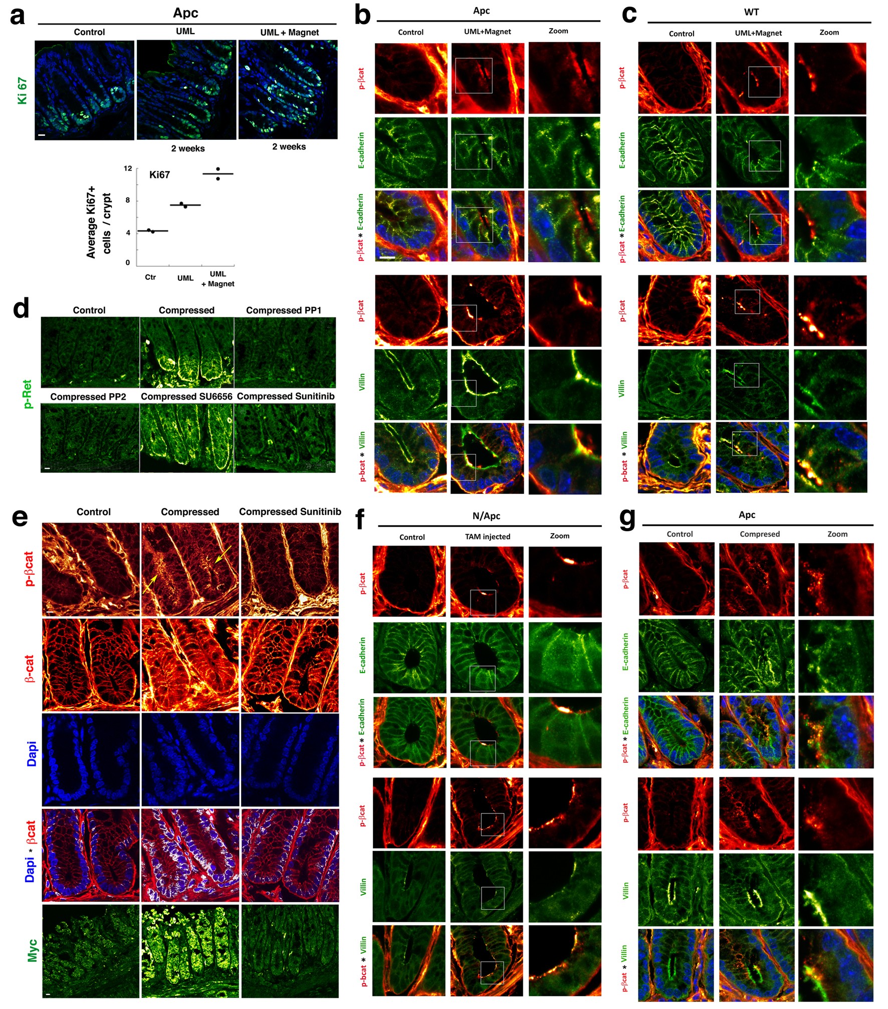Extended Data Figure 4