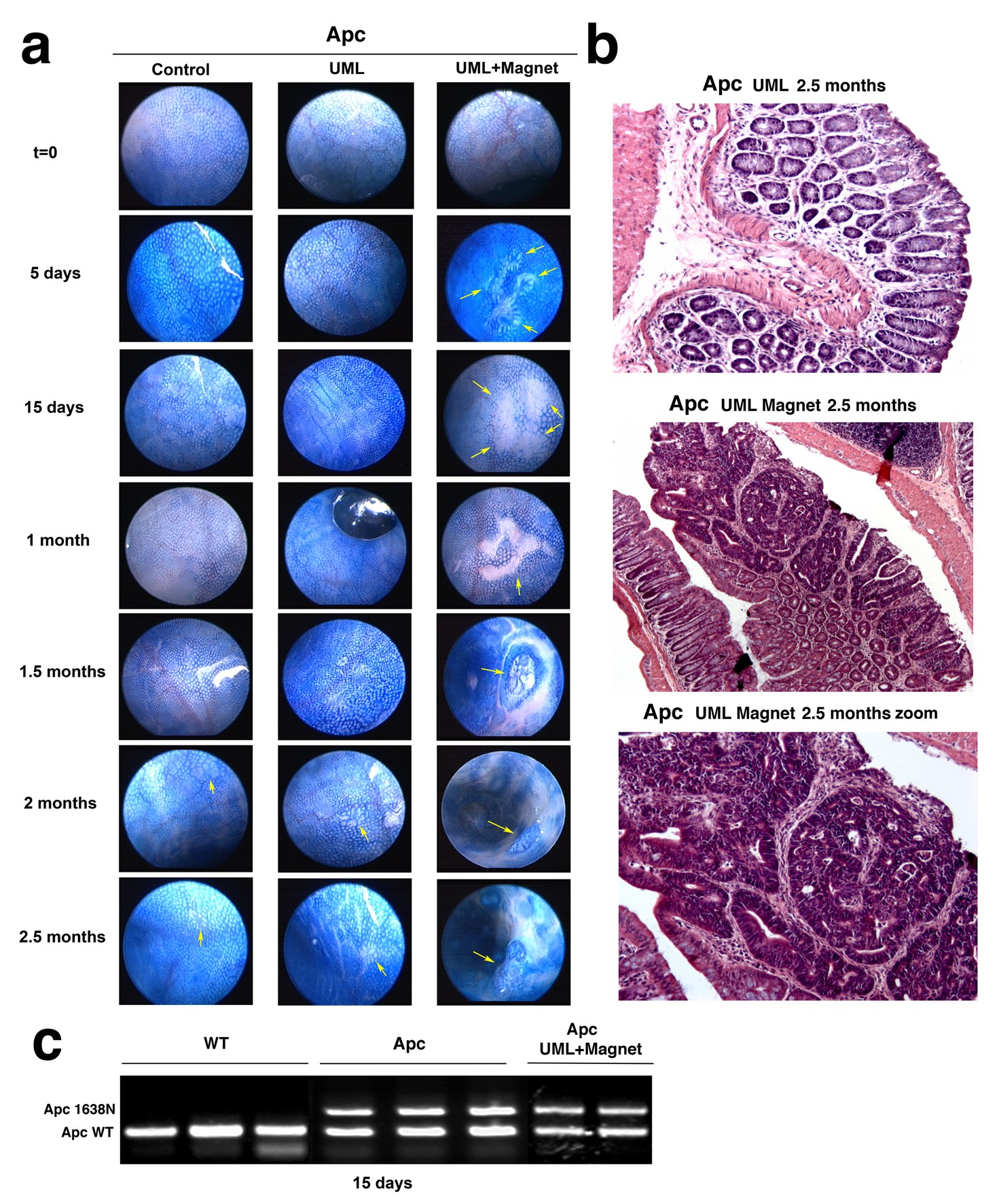 Extended Data Figure 5