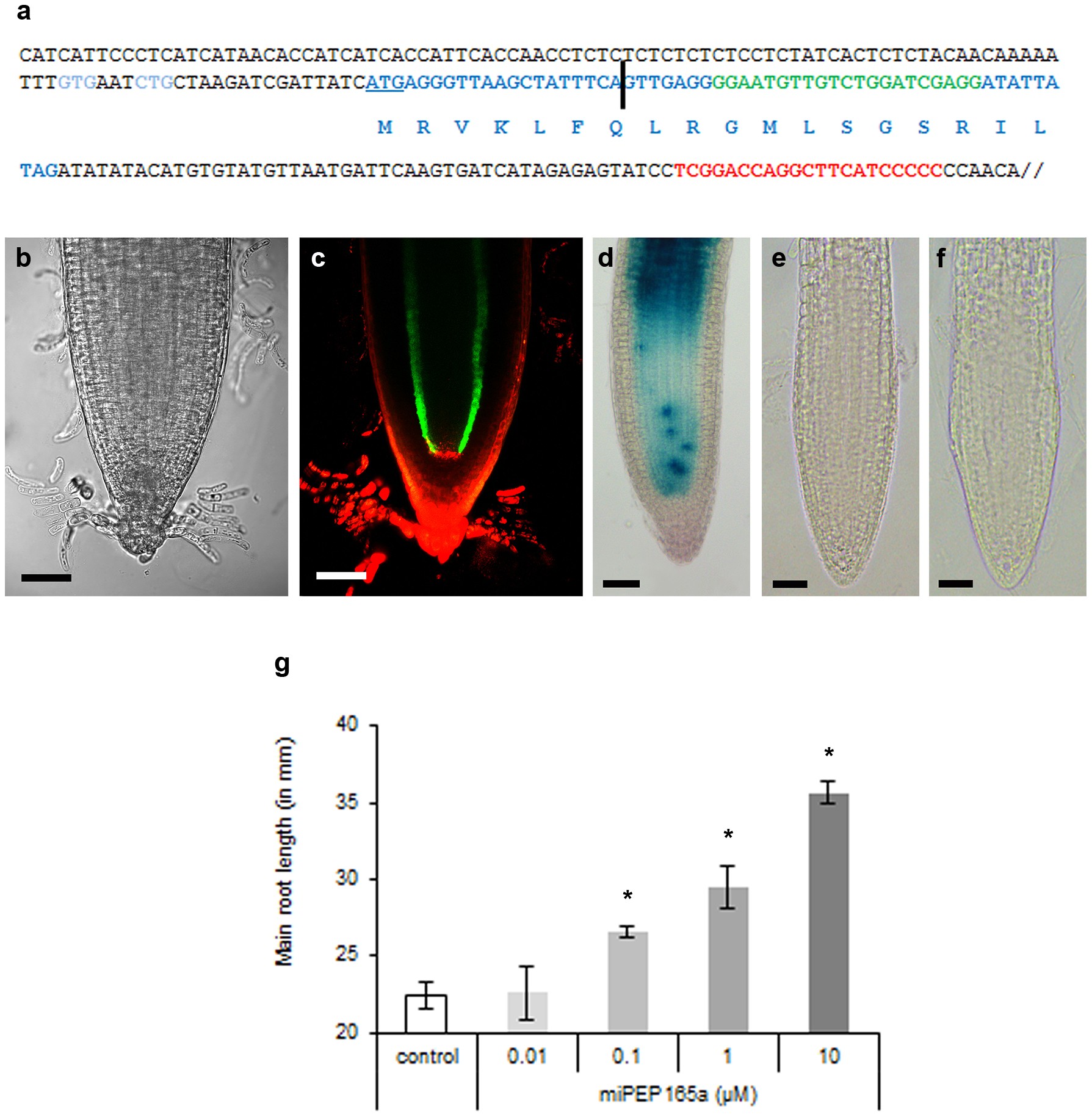 Extended Data Figure 6