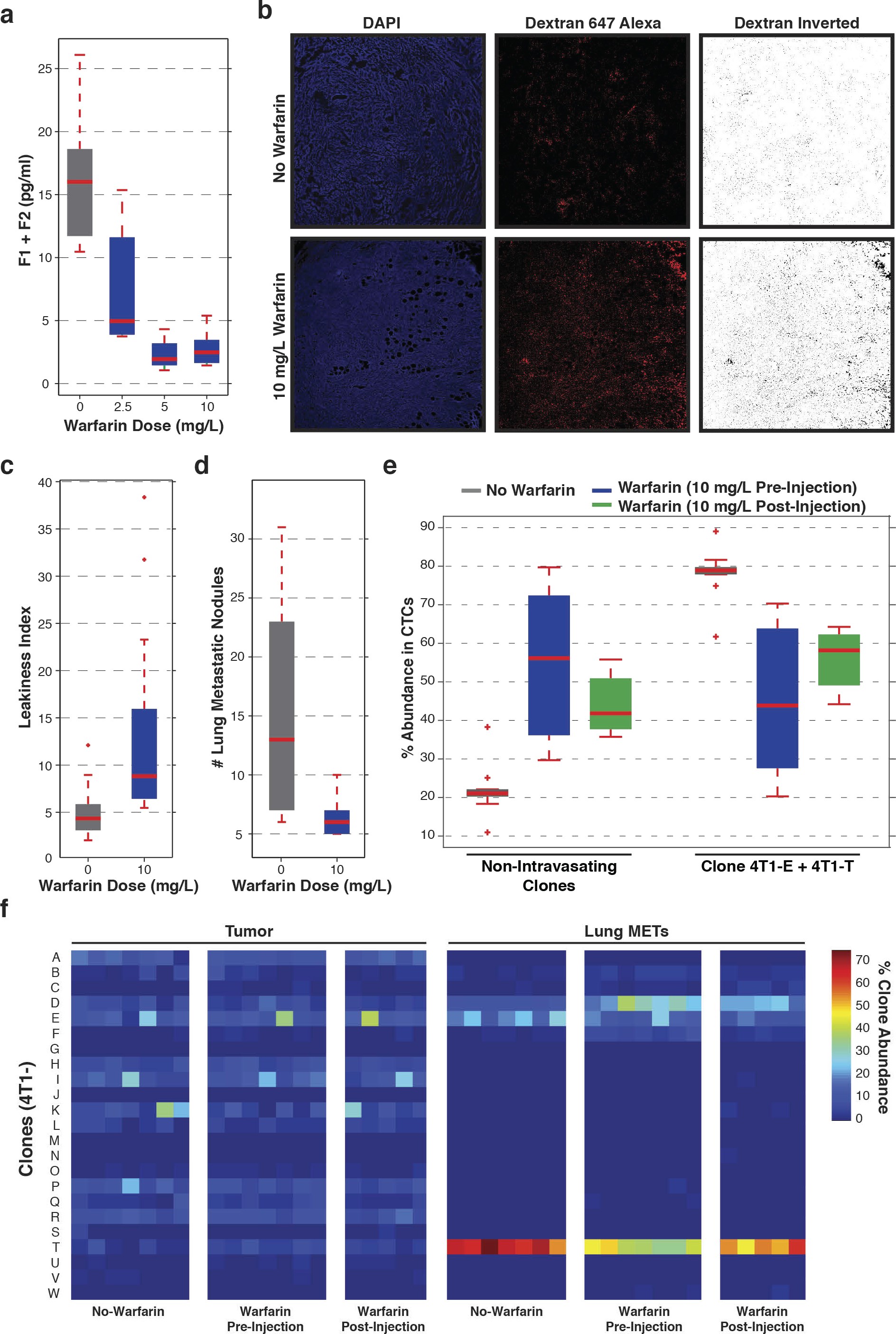 Extended Data Figure 9: Effect of warfarin on leakiness, metastasis and clonal abundance.