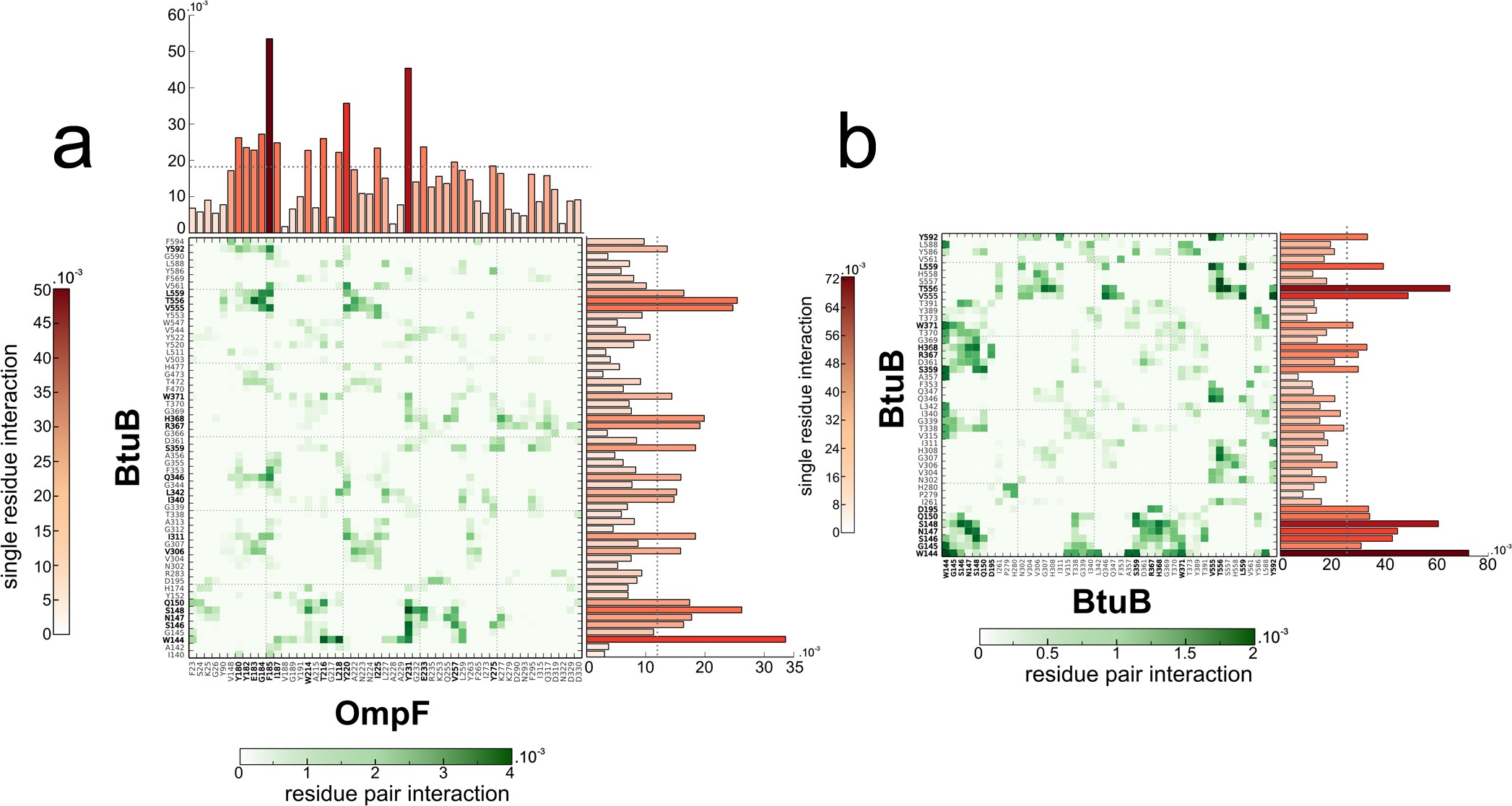 Extended Data Figure 7: Residues that mediate BtuB–OmpF and BtuB–BtuB interactions in molecular dynamics simulations.