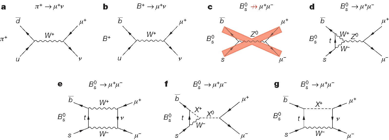 Observation Of The Rare B S 0 µ µ Decay From The Combined