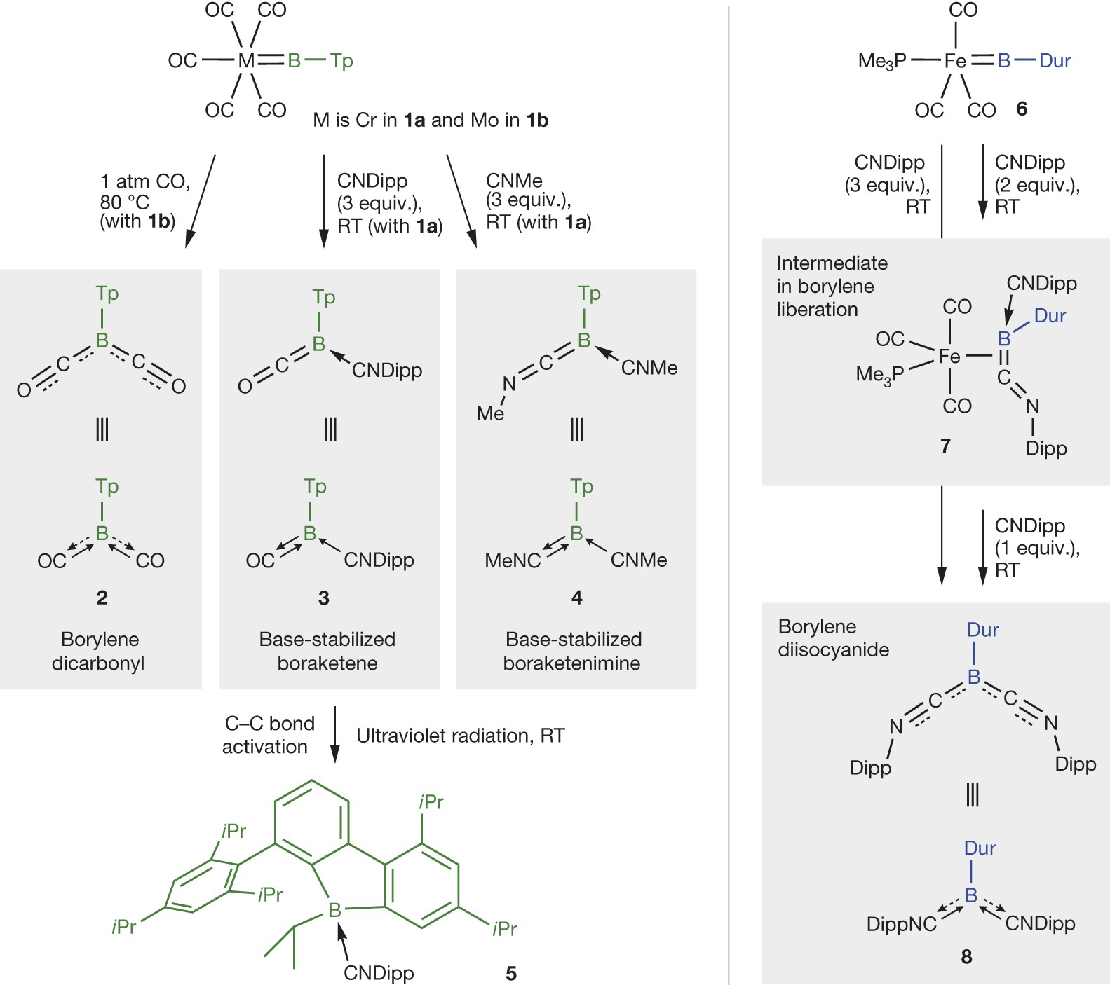 Multiple Complexation Of Co And Related Ligands To A Main