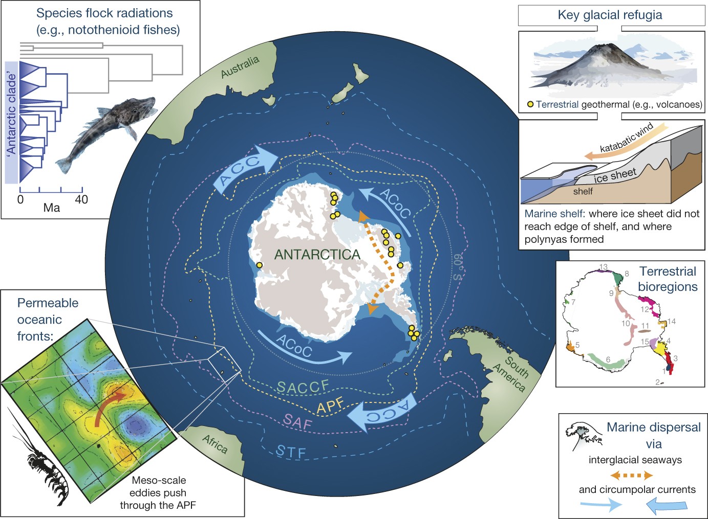 changing of Antarctic biodiversity |