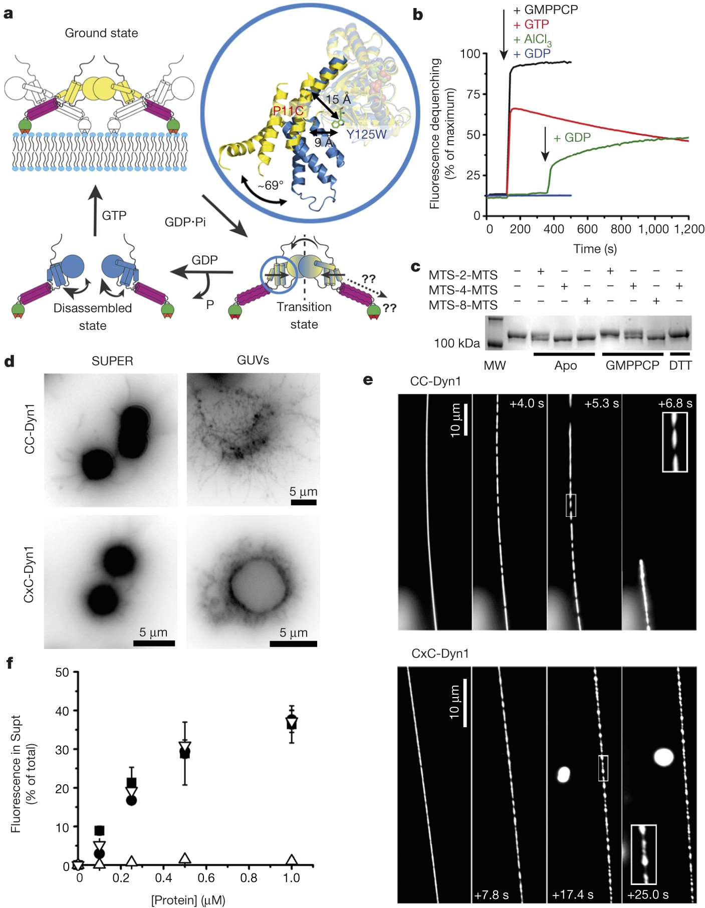 A Hemi Fission Intermediate Links Two Mechanistically Distinct