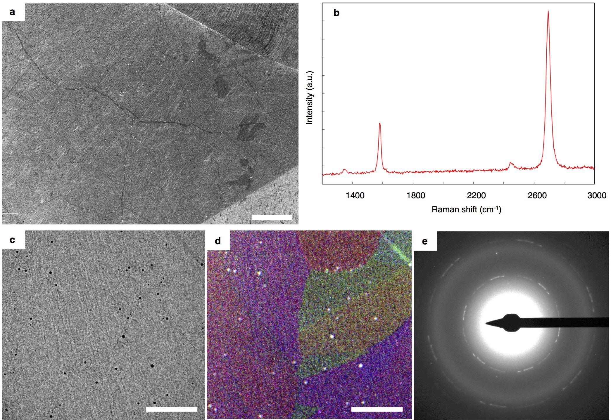 Extended Data Figure 1: Characterization of representative graphene.