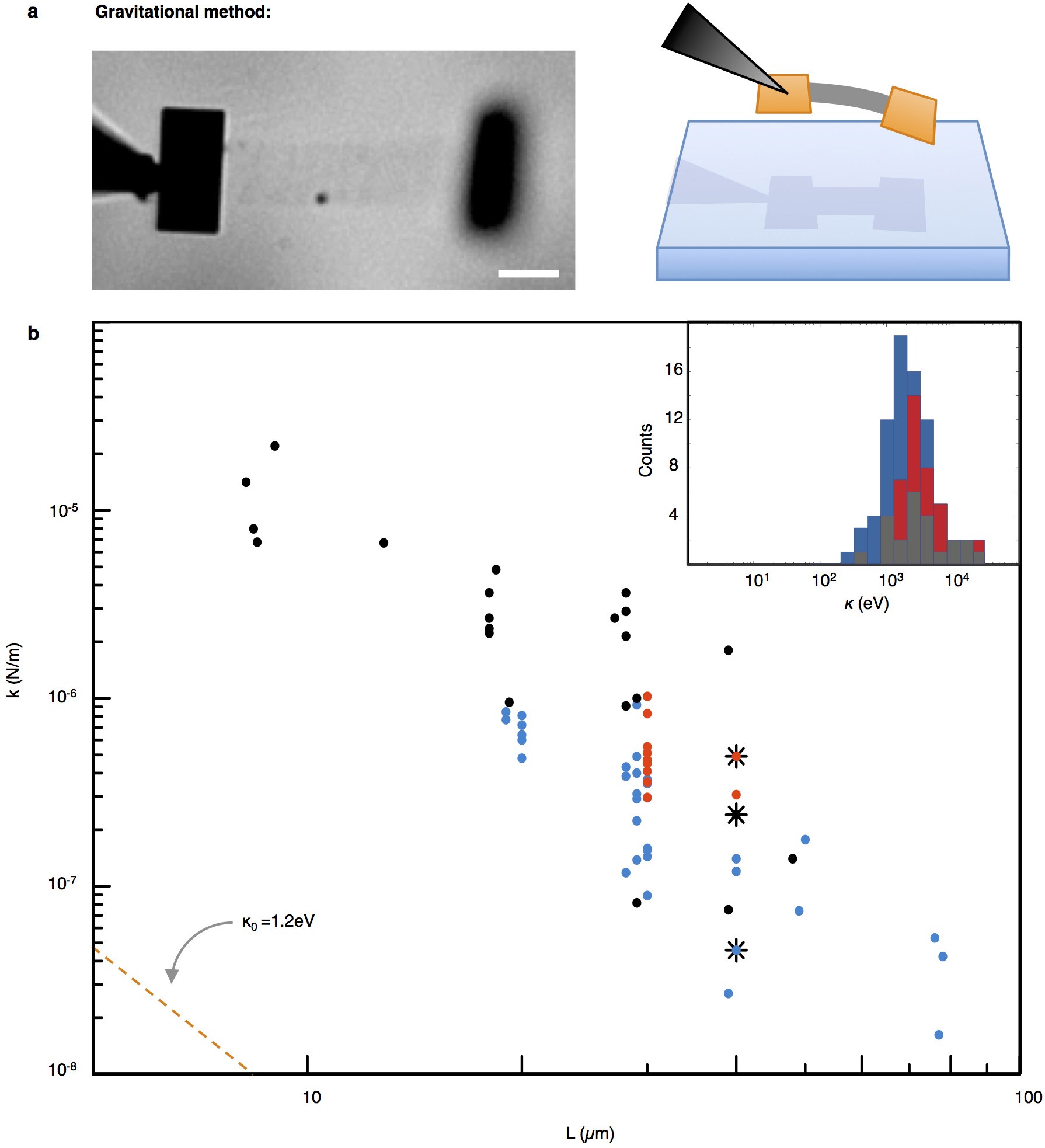 Extended Data Figure 4: Bending stiffness measurements.