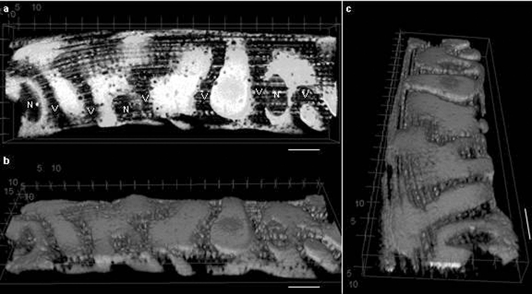 Extended Data Figure 6