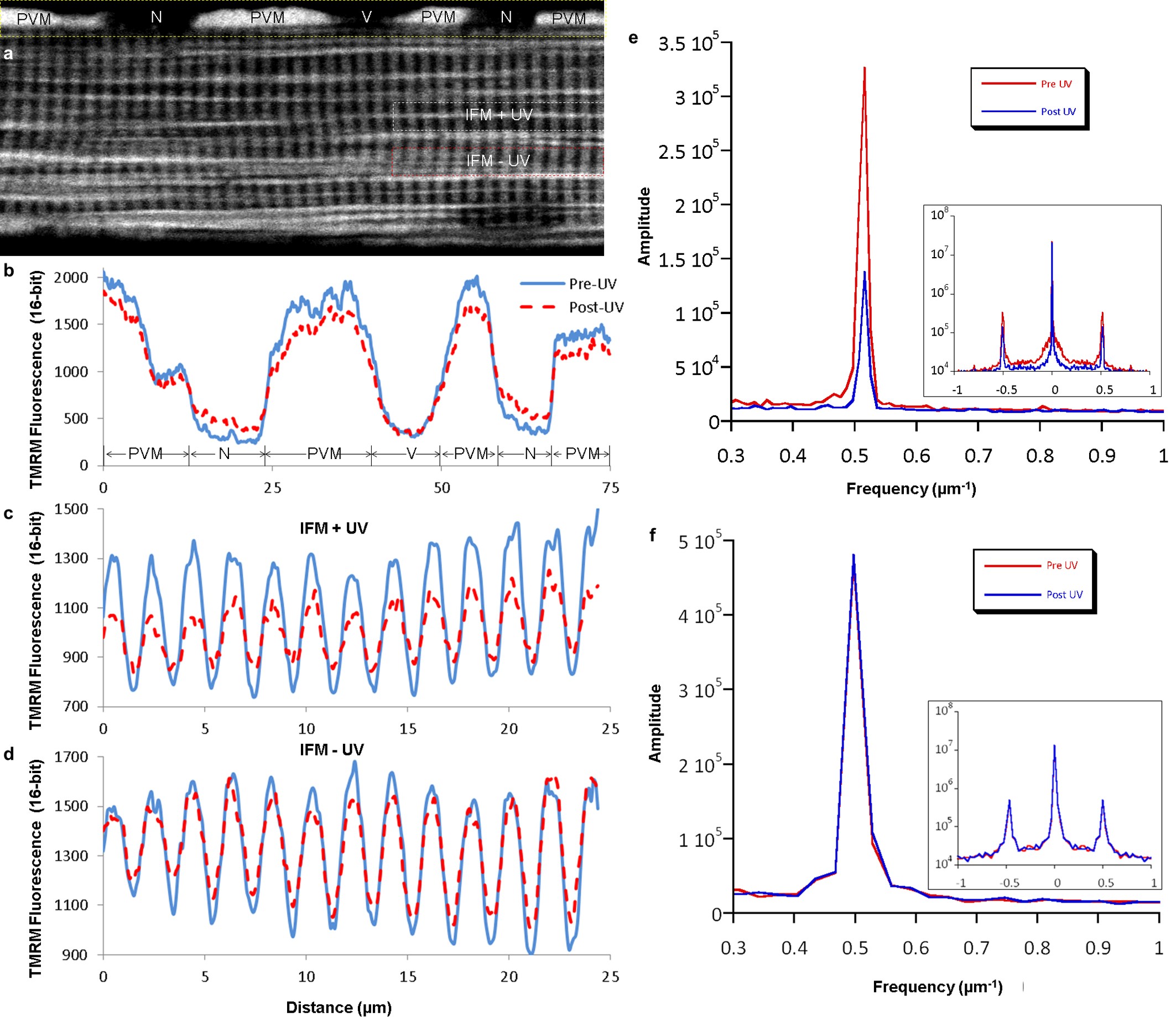 Extended Data Figure 7