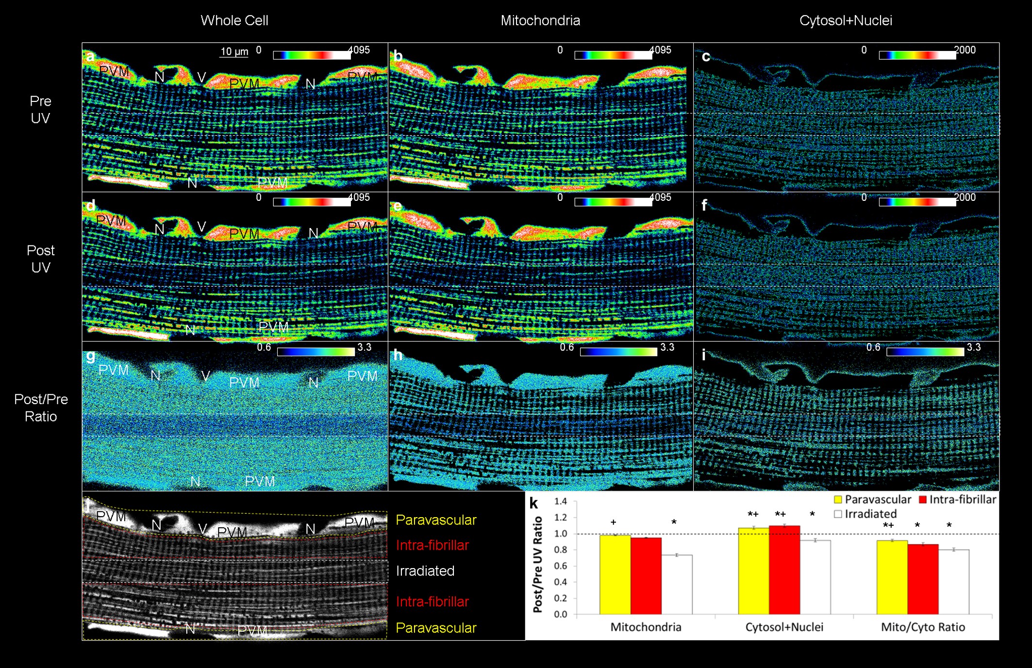 Extended Data Figure 8