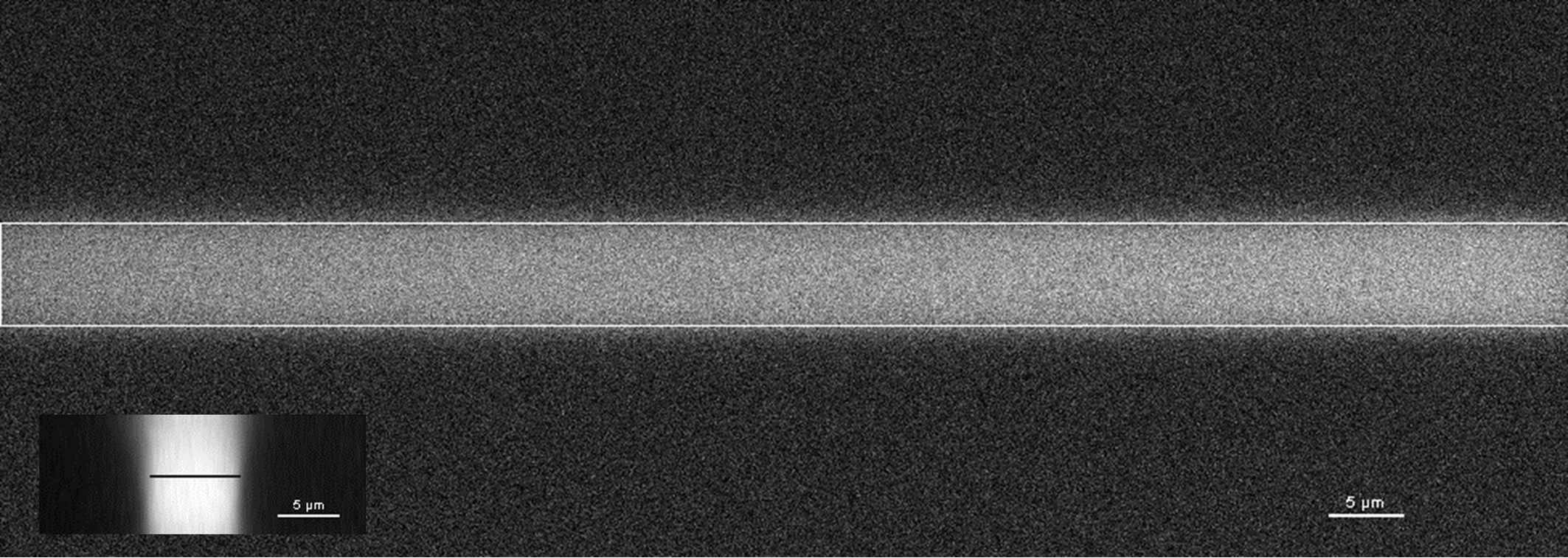 Extended Data Figure 9