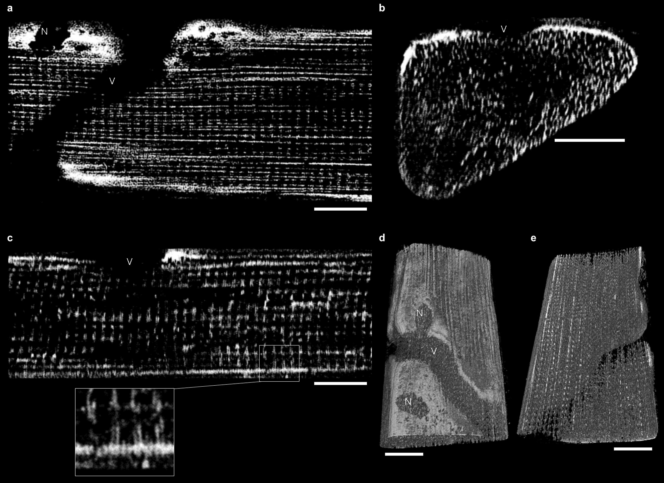 Extended Data Figure 2