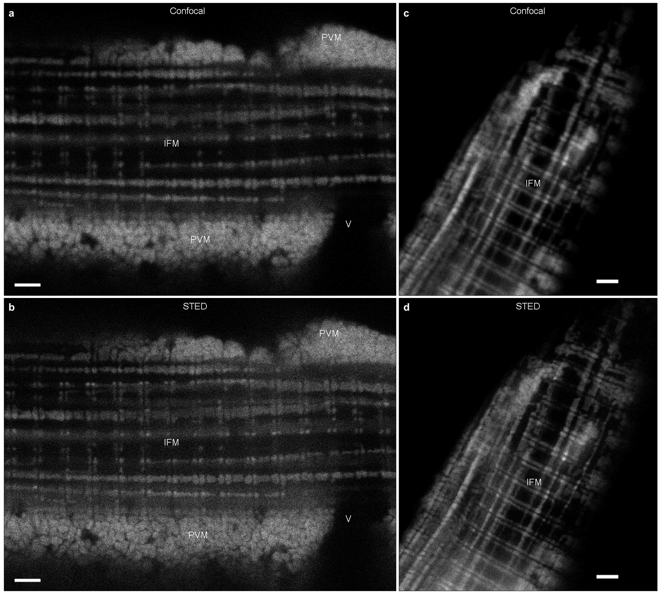 Extended Data Figure 3