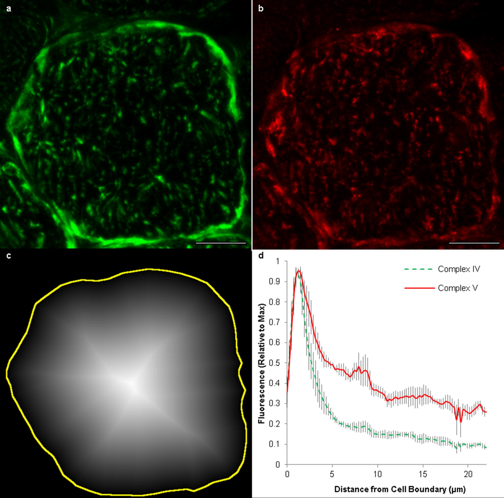 Extended Data Figure 4