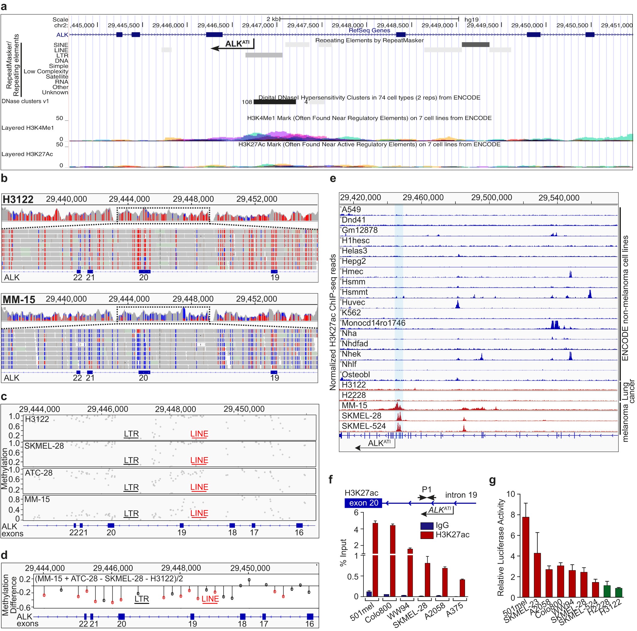 Extended Data Figure 6: Local chromatin context at the alternative transcription initiation (ATI) site.