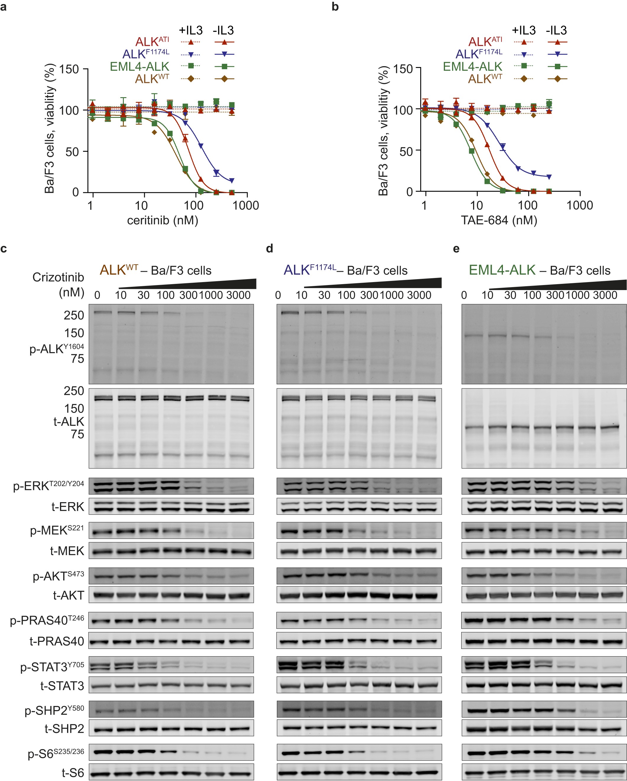 Extended Data Figure 8: Concentration-dependent ALK inhibition in ALKATI-, wild-type ALK-, ALKF1174L-, and EML4–ALK-expressing Ba/F3 cells.
