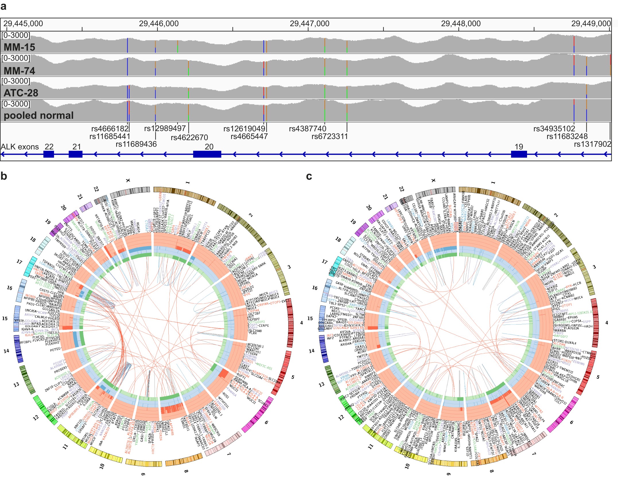Extended Data Figure 5: Targeted sequencing and whole-genome sequencing reveals no recurrent genomic aberrations at the ALK locus.