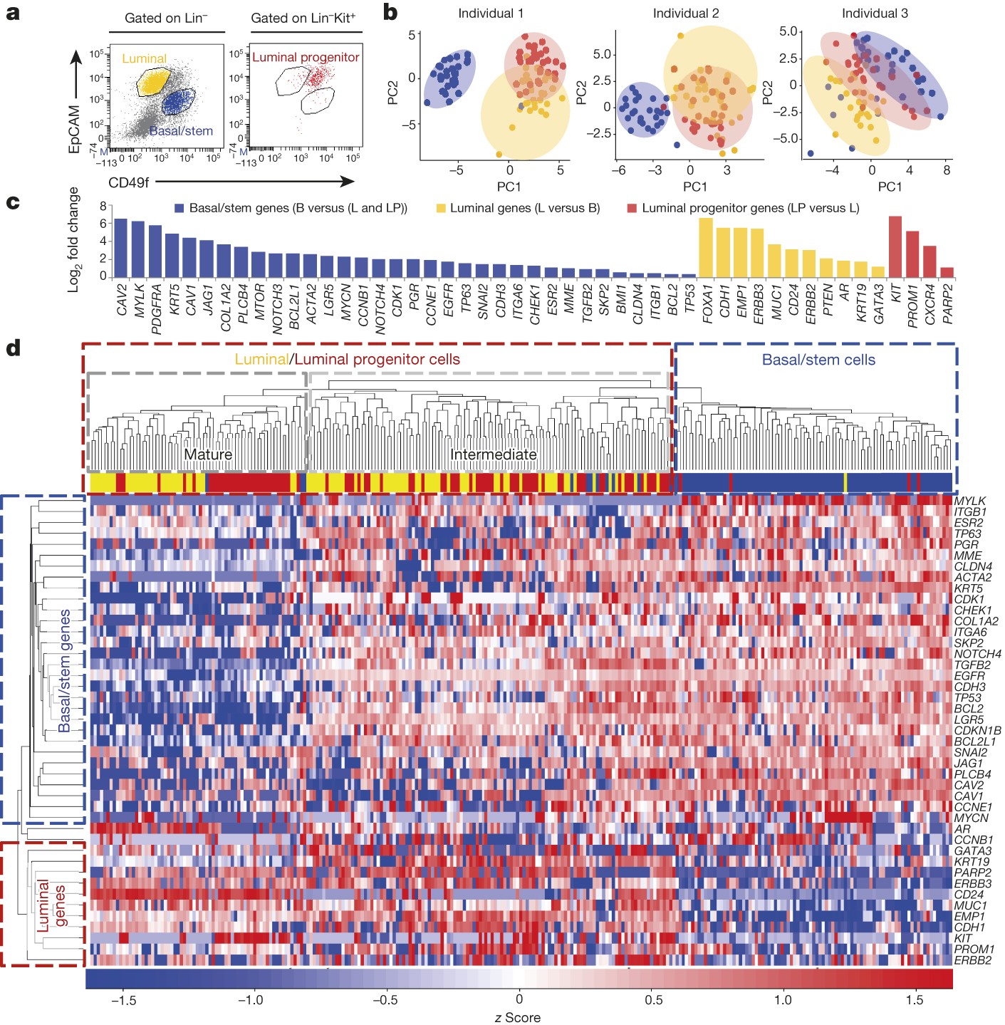 Single-cell analysis reveals stem-cell program in human metastatic breast cancer cells | Nature