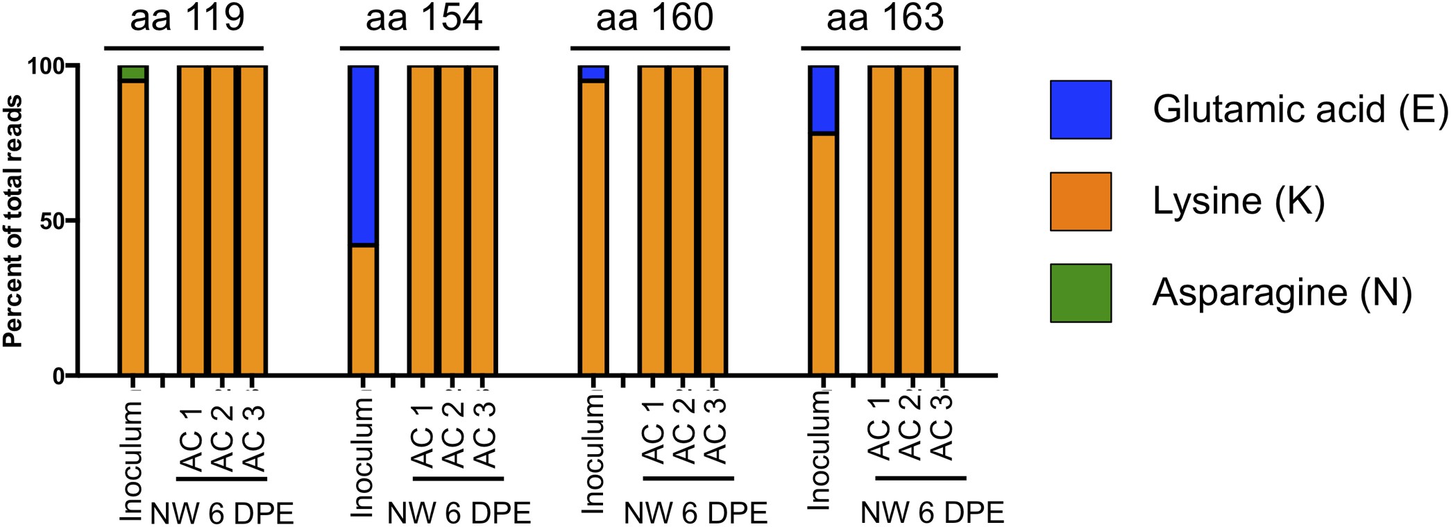 Extended Data Figure 9: Quasi-species in putative lysine fence.