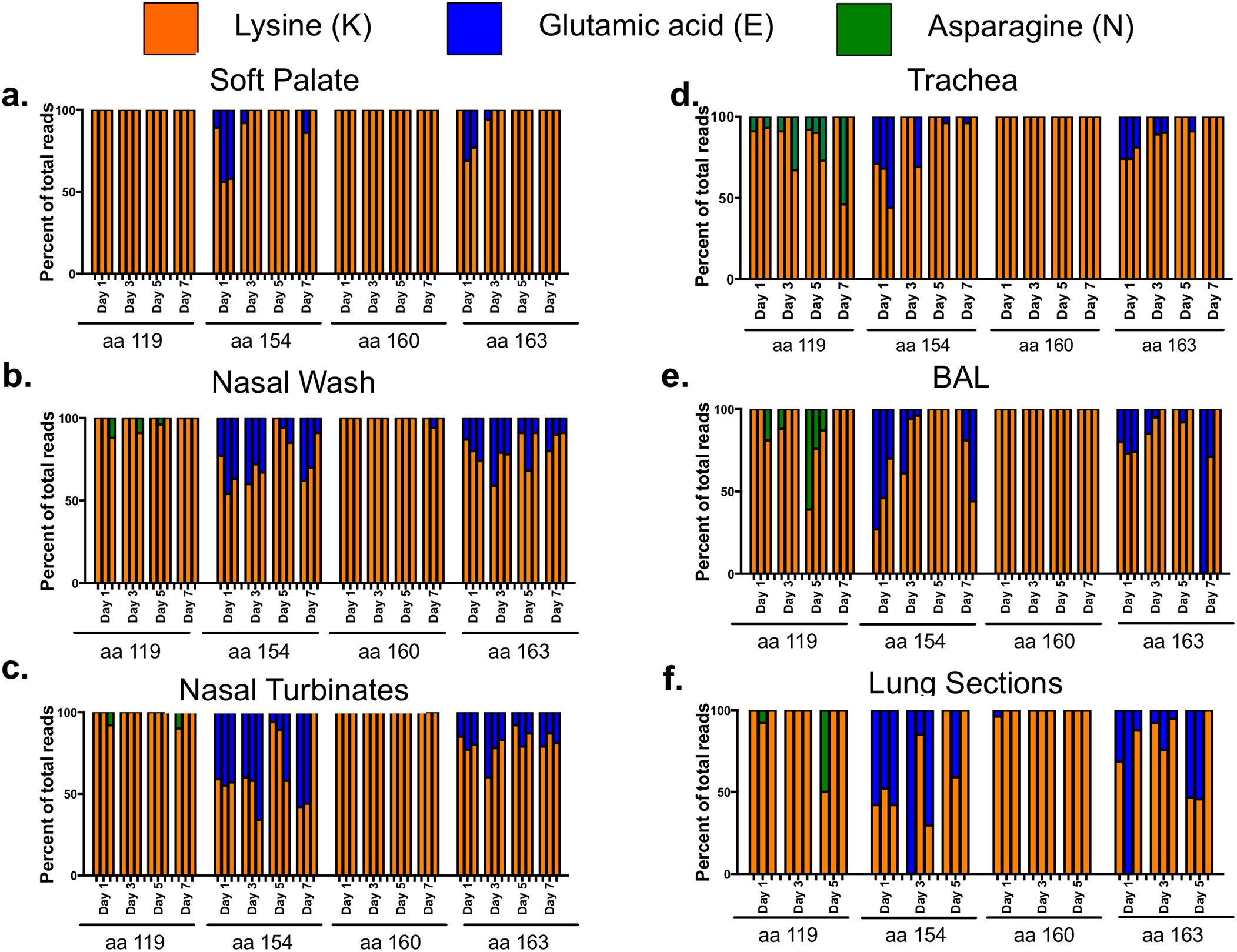 Extended Data Figure 10: Quasi-species of lysine fence in various ferret respiratory tissue sections.
