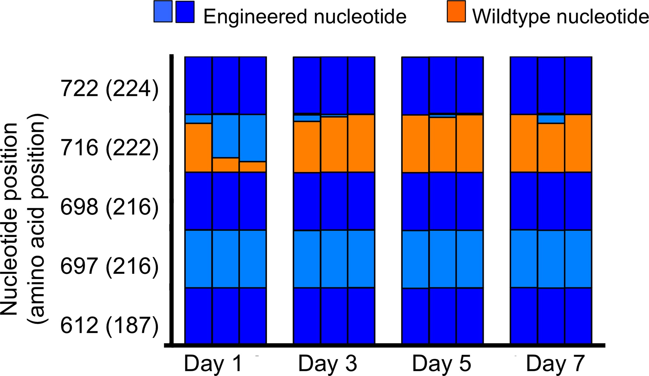 Extended Data Figure 3: Stability of engineered mutations in viruses replicating in the soft palate.