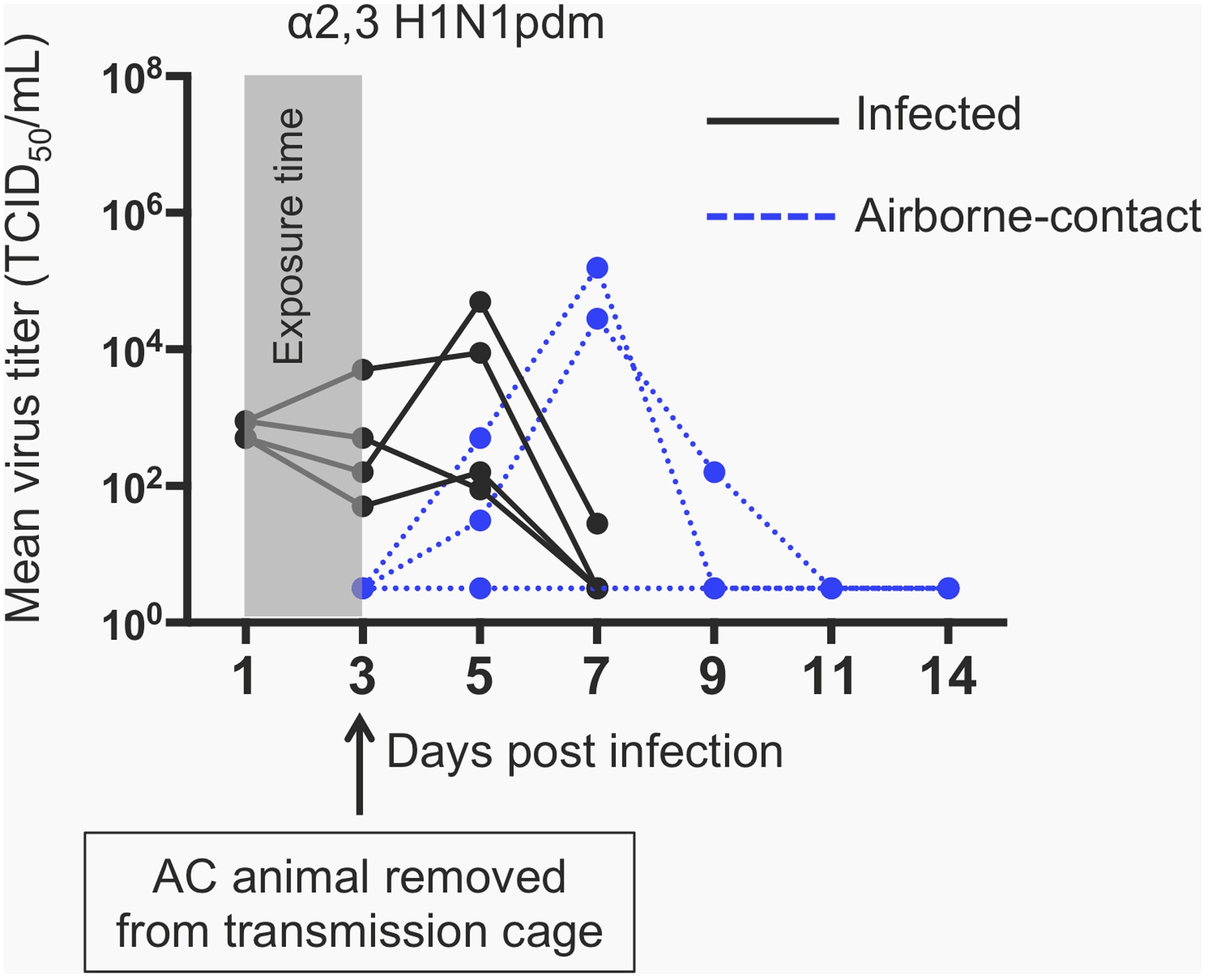 Extended Data Figure 4: Airborne transmission of α2,3 H1N1pdm virus after 48 h exposure time.