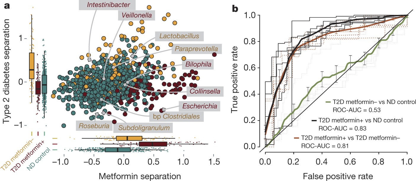 frygt passage Skælde ud Disentangling type 2 diabetes and metformin treatment signatures in the  human gut microbiota | Nature