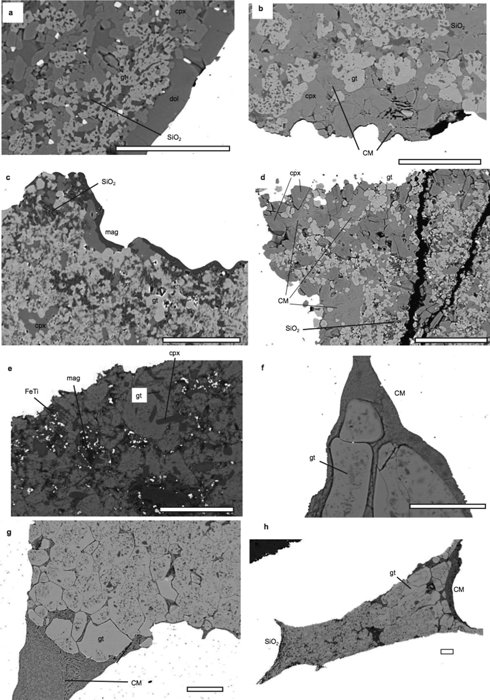 Extended Data Figure 3