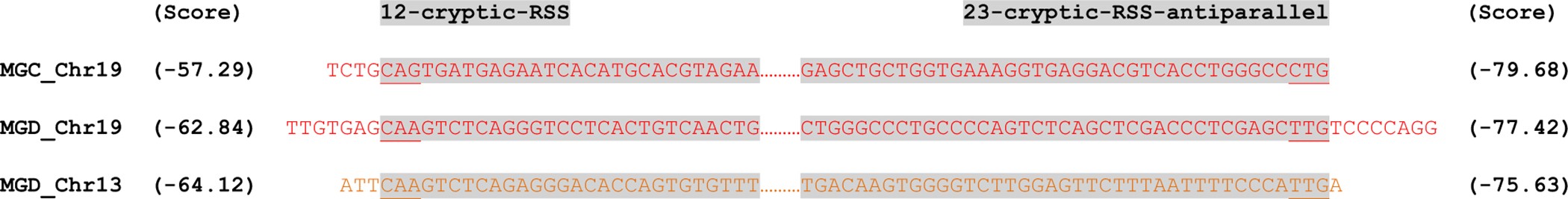 Extended Data Figure 7