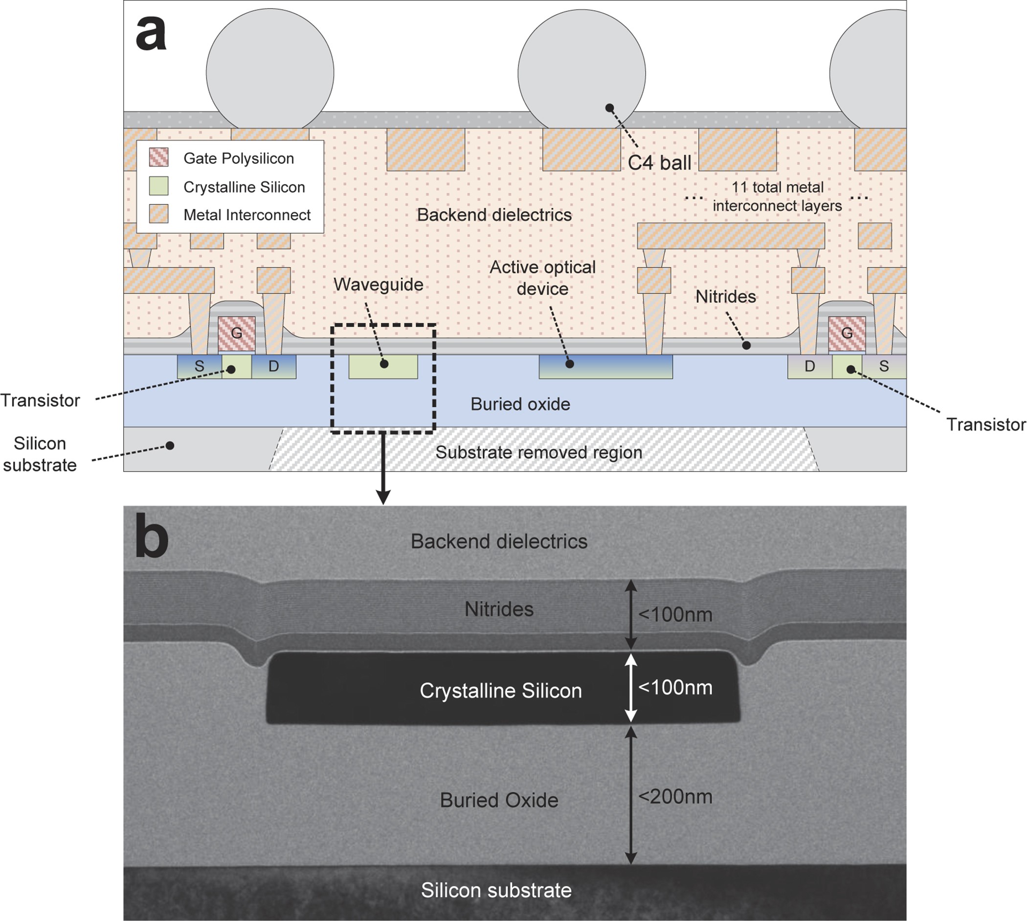 Extended Data Figure 1: Chip cross-section.
