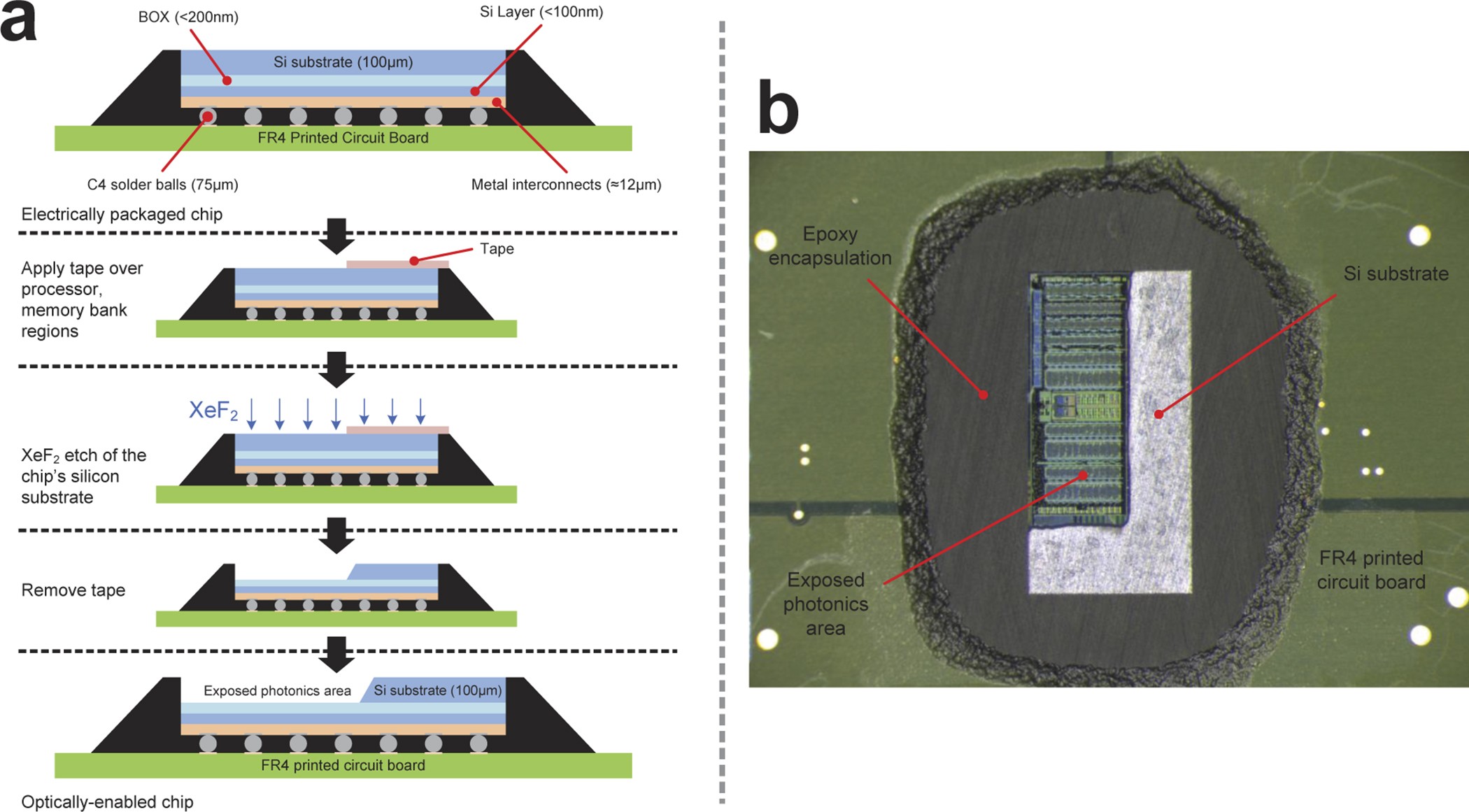 Extended Data Figure 2: Selective substrate removal.