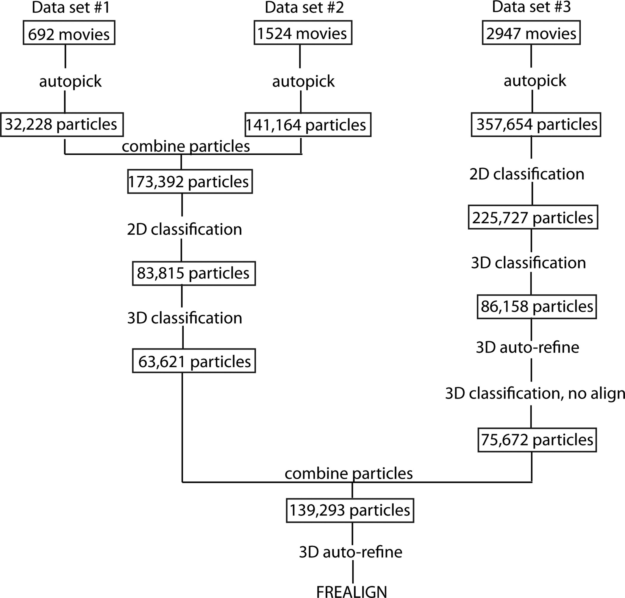 Extended Data Figure 2: Cryo-EM data processing flowchart.