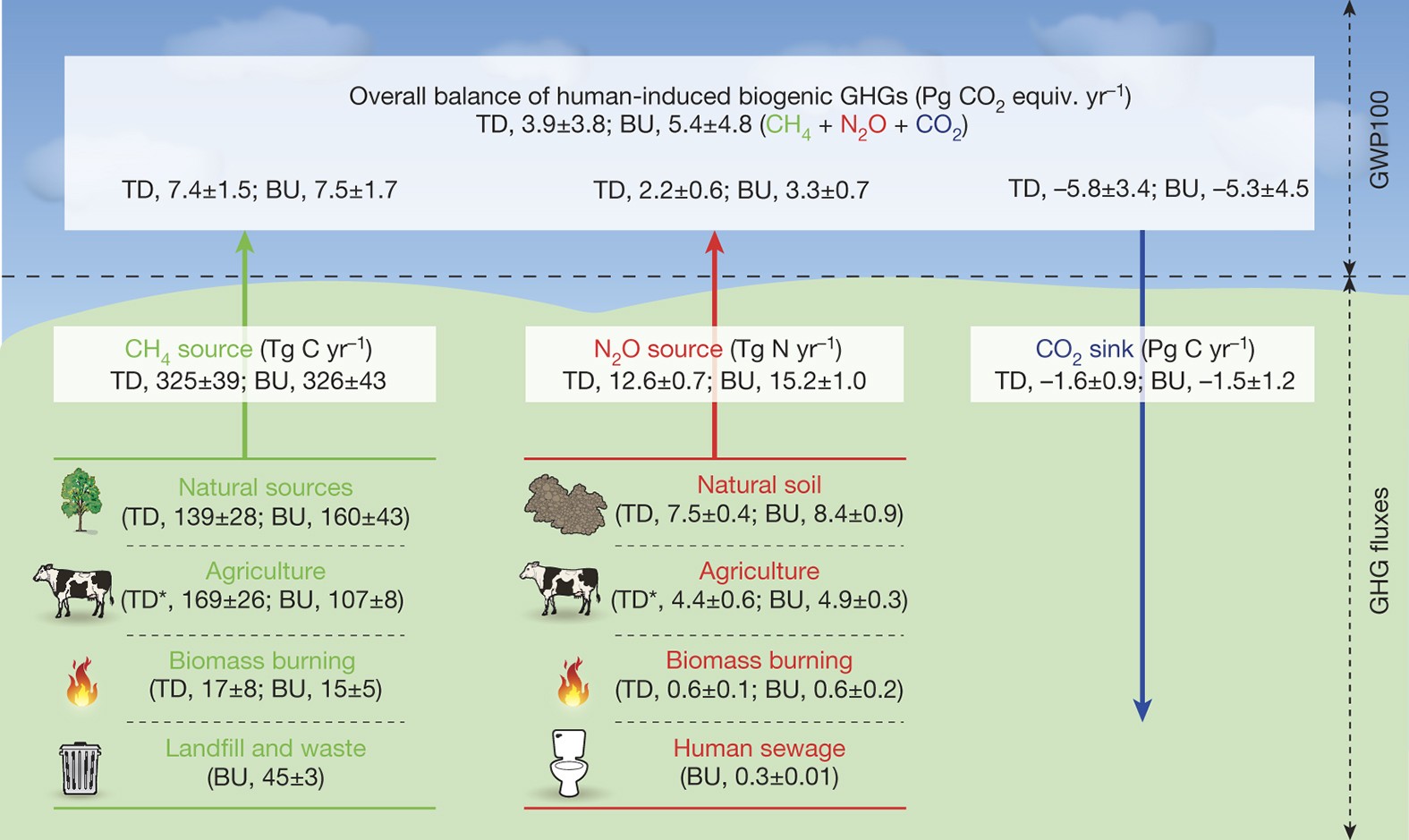 The Terrestrial Biosphere As A Net Source Of Greenhouse Gases To The Atmosphere Nature