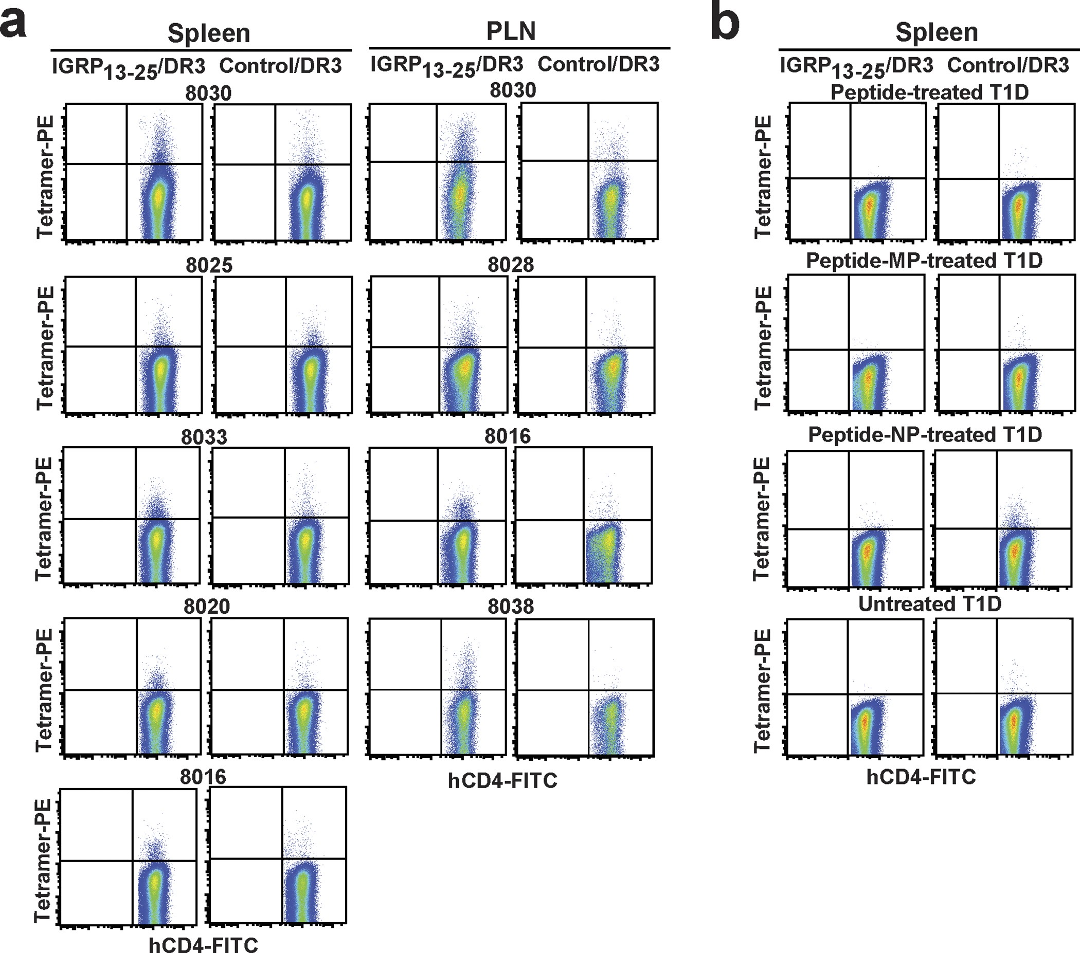 Extended Data Figure 7: Human T1D-relevant pMHCII–NPs, but not free peptide or peptide-coated nanoparticles or microparticles, expand cognate TR1-like CD4+ T cells in human PBMC-engrafted NSG hosts.