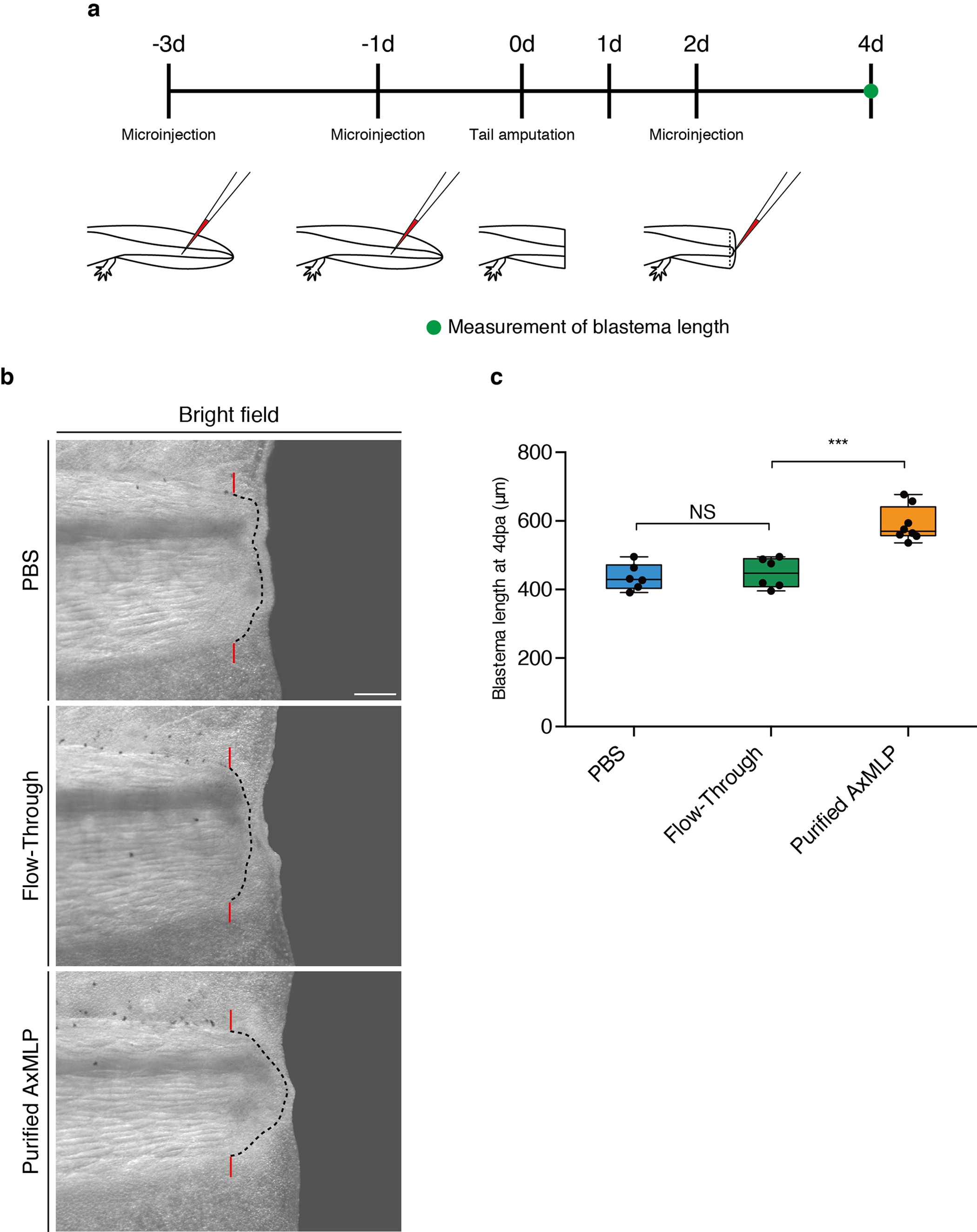 Extended Data Figure 10