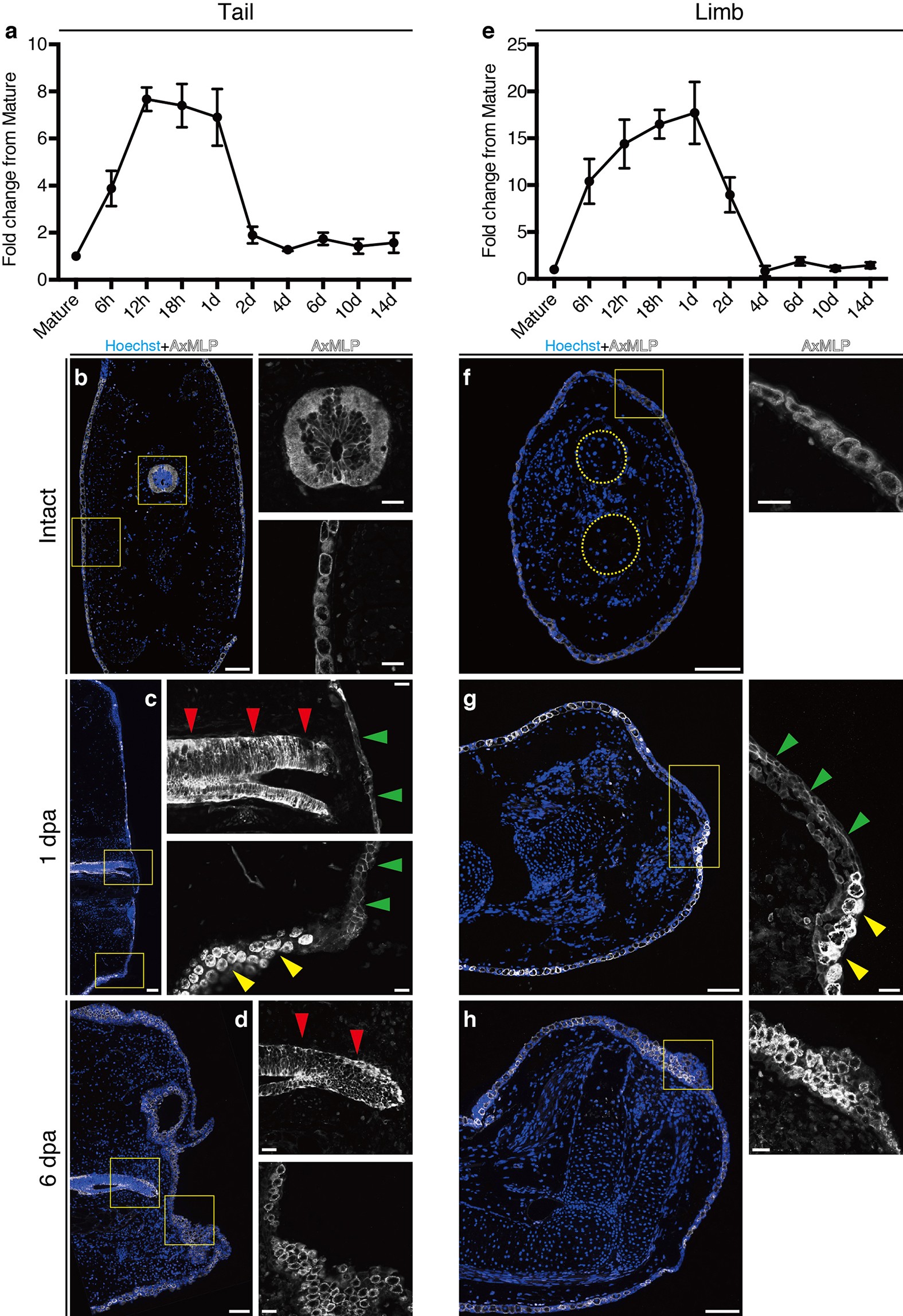 Extended Data Figure 5