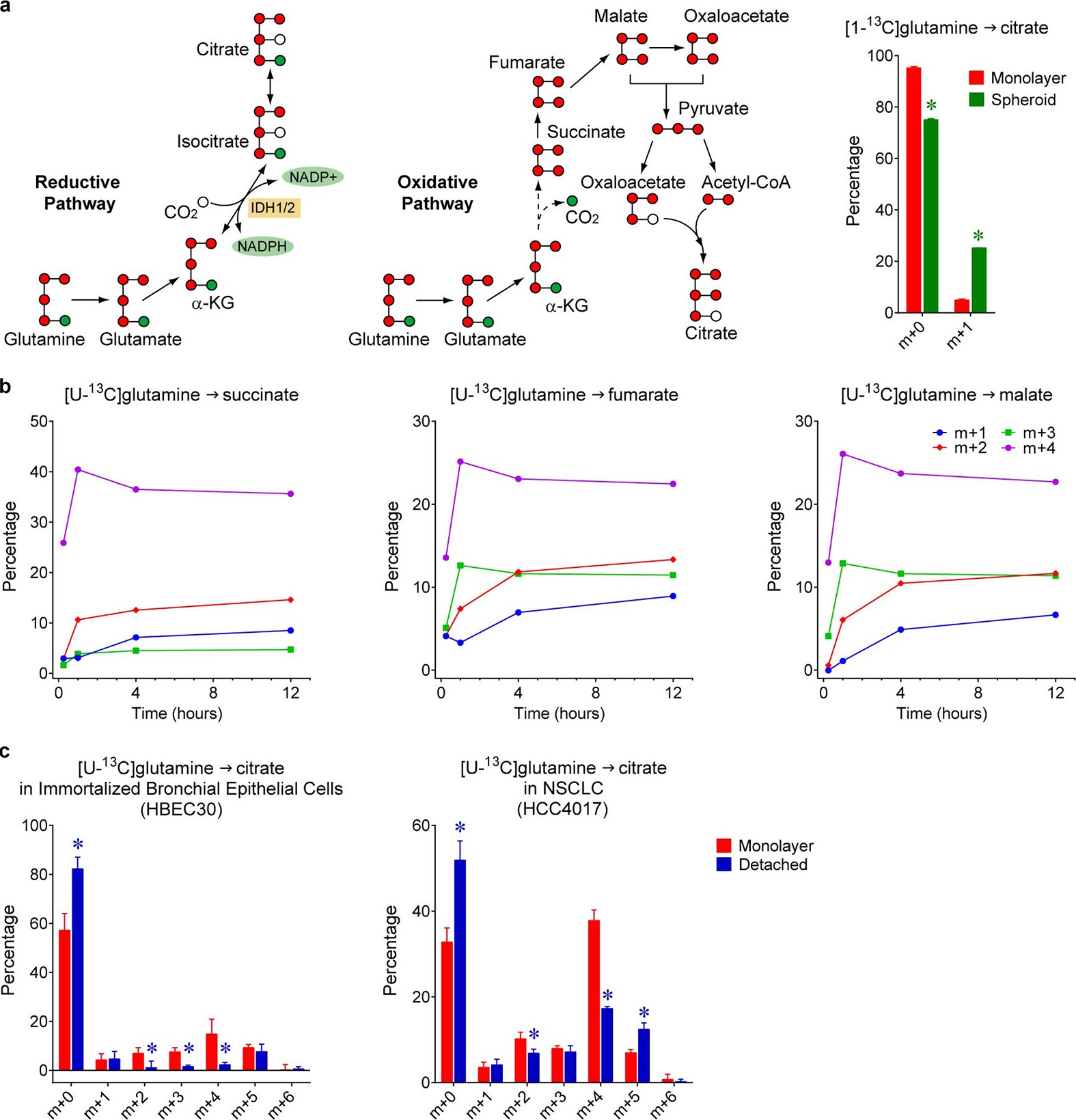 Extended Data Figure 3: Reductive citrate metabolism in anchorage-independent spheroid culture.