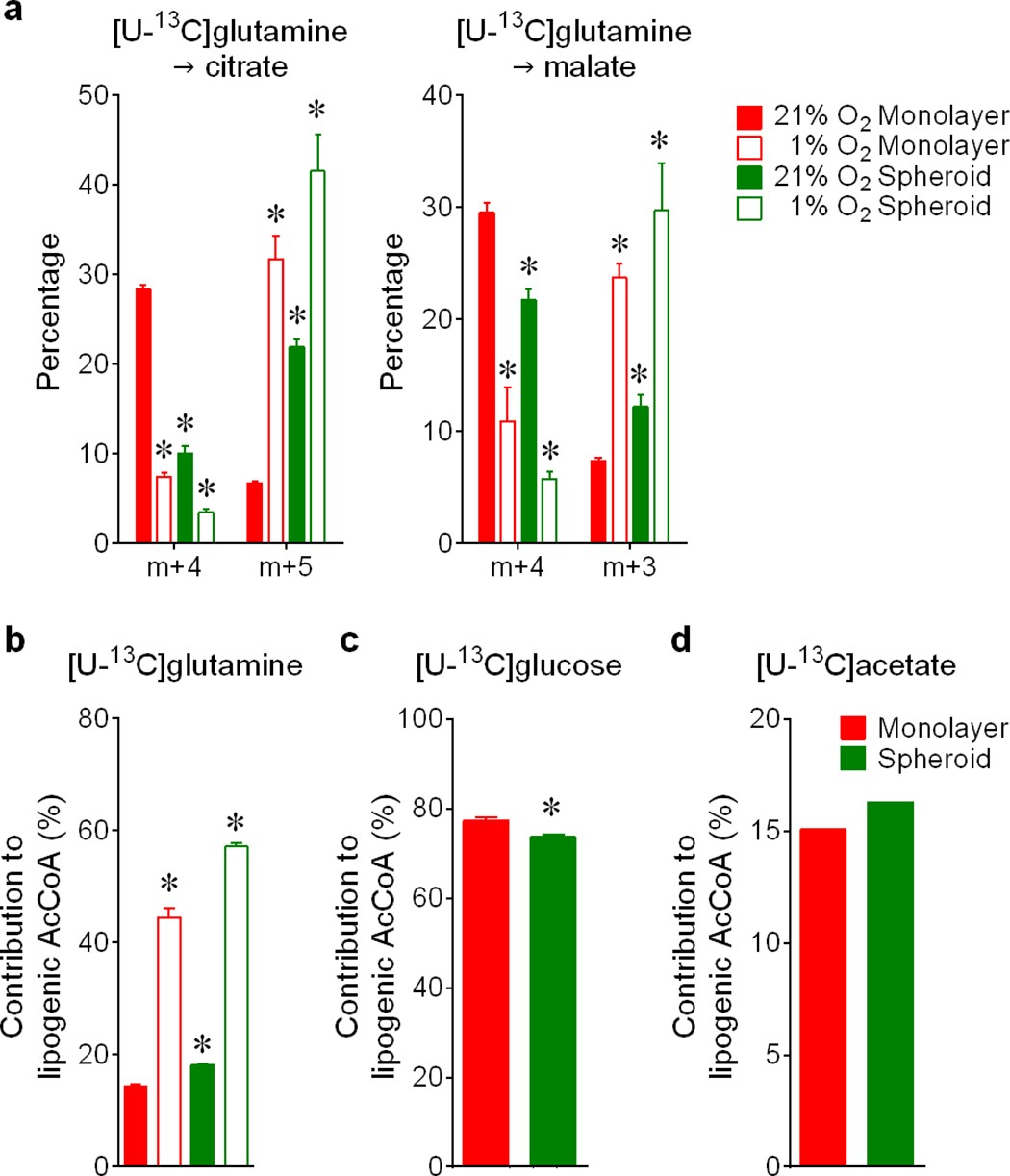 Extended Data Figure 5: Hypoxia and anchorage independence elicit different effects on citrate metabolism.