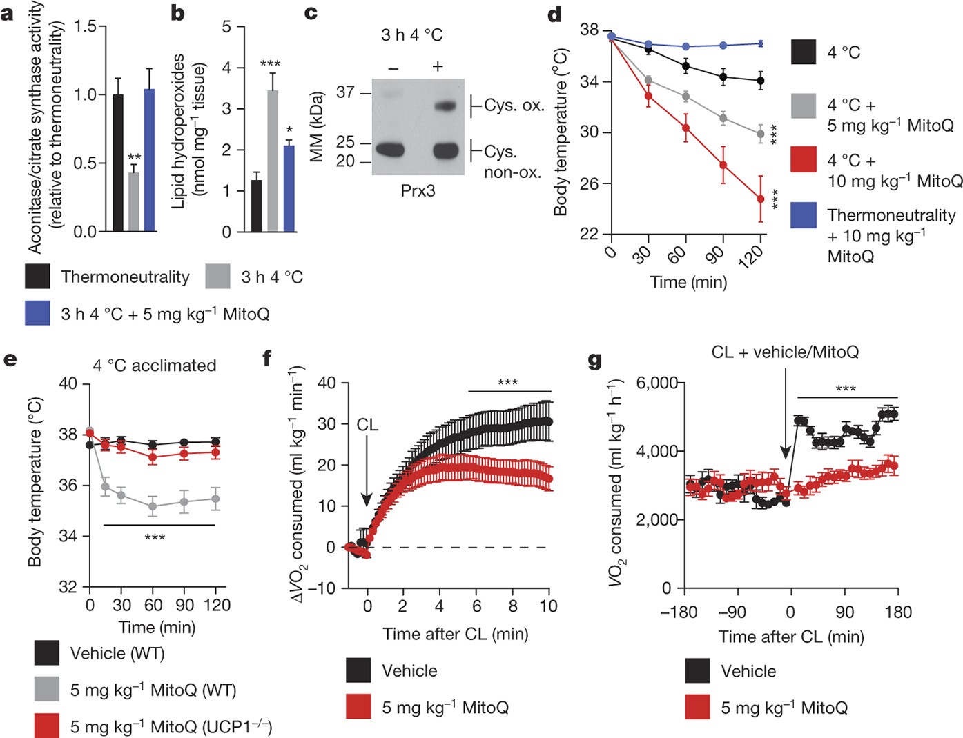 Mitochondrial Ros Regulate Thermogenic Energy Expenditure And
