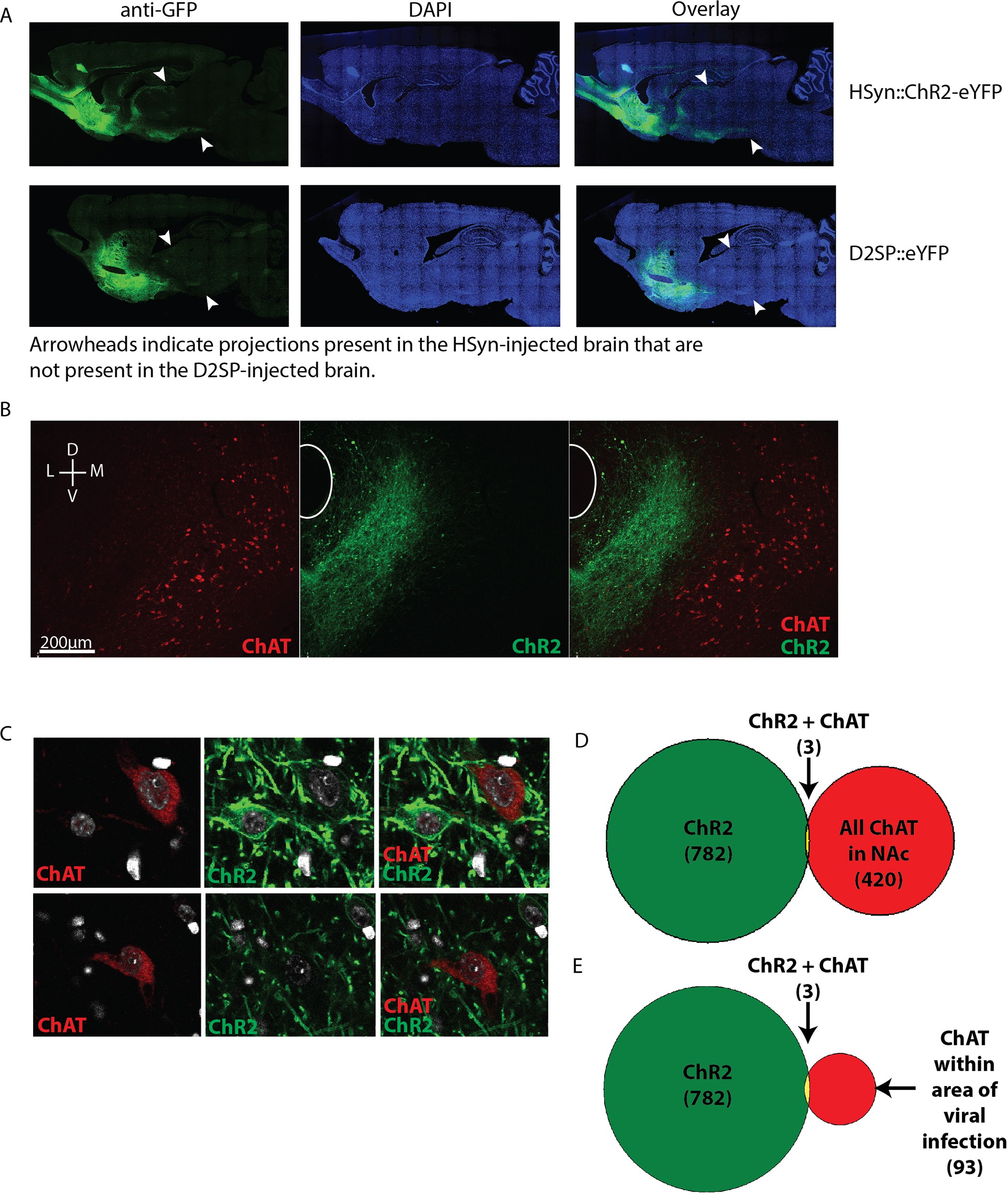 Extended Data Figure 6: Specificity of D2SP.