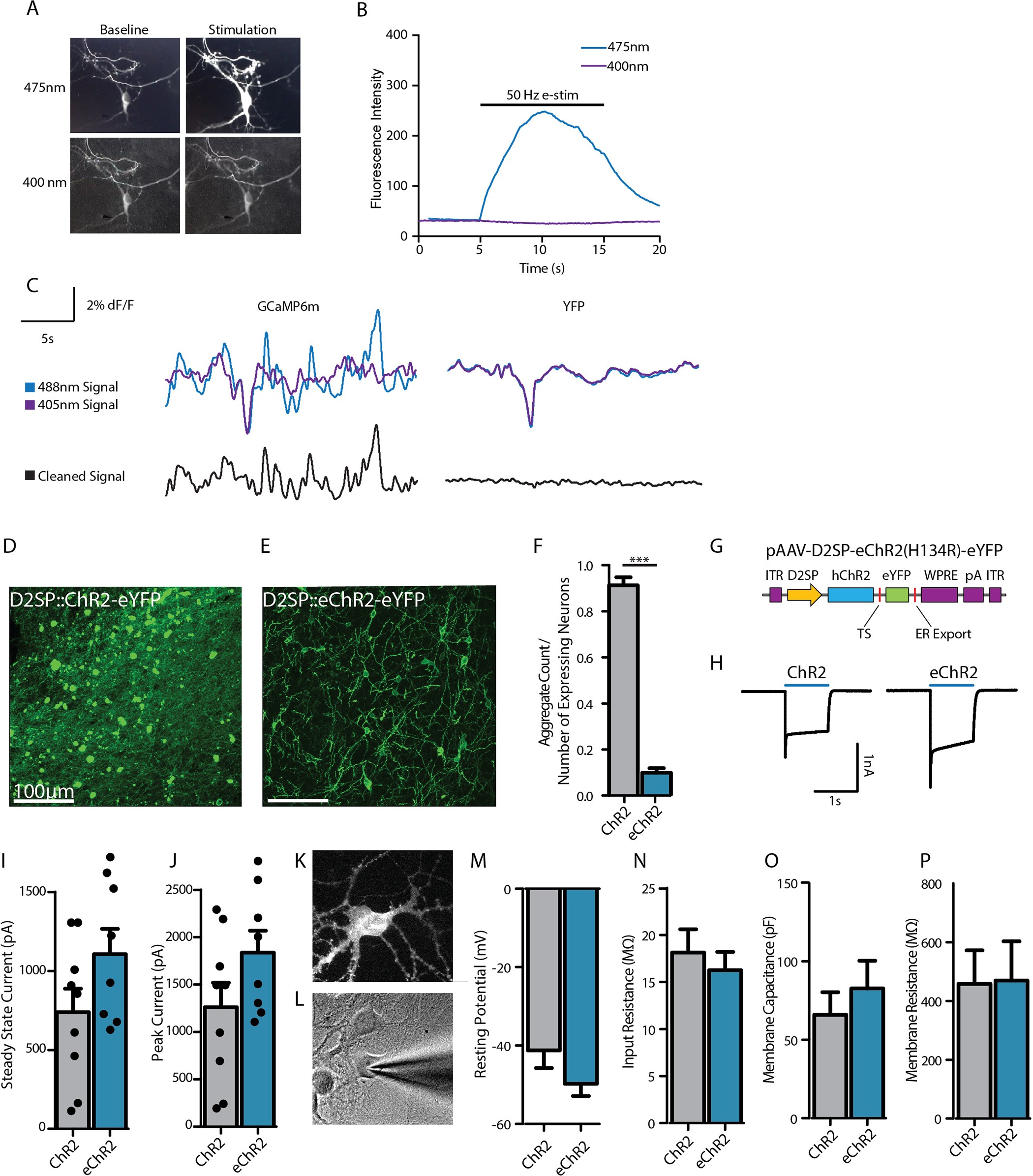 Extended Data Figure 7: Characterization of dual-wavelength photometry and eChR2.