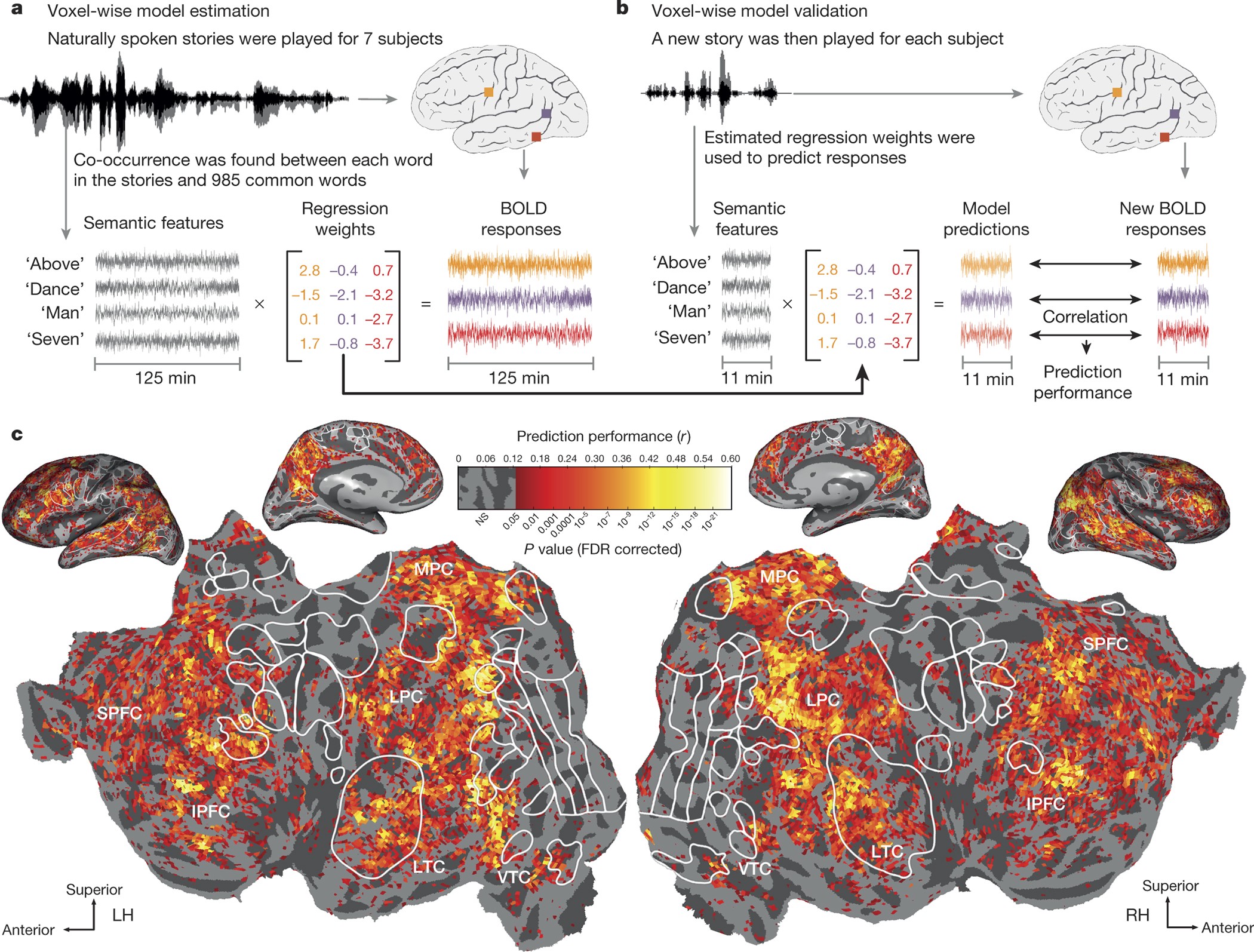 Natural Speech Reveals The Semantic Maps That Tile Human Cerebral Cortex Nature Natural Speech Reveals The Semantic Maps That Tile Human Cerebral Cortex Nature