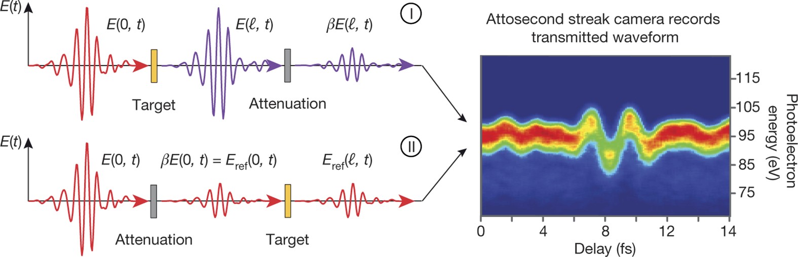Nonlinear Polarization