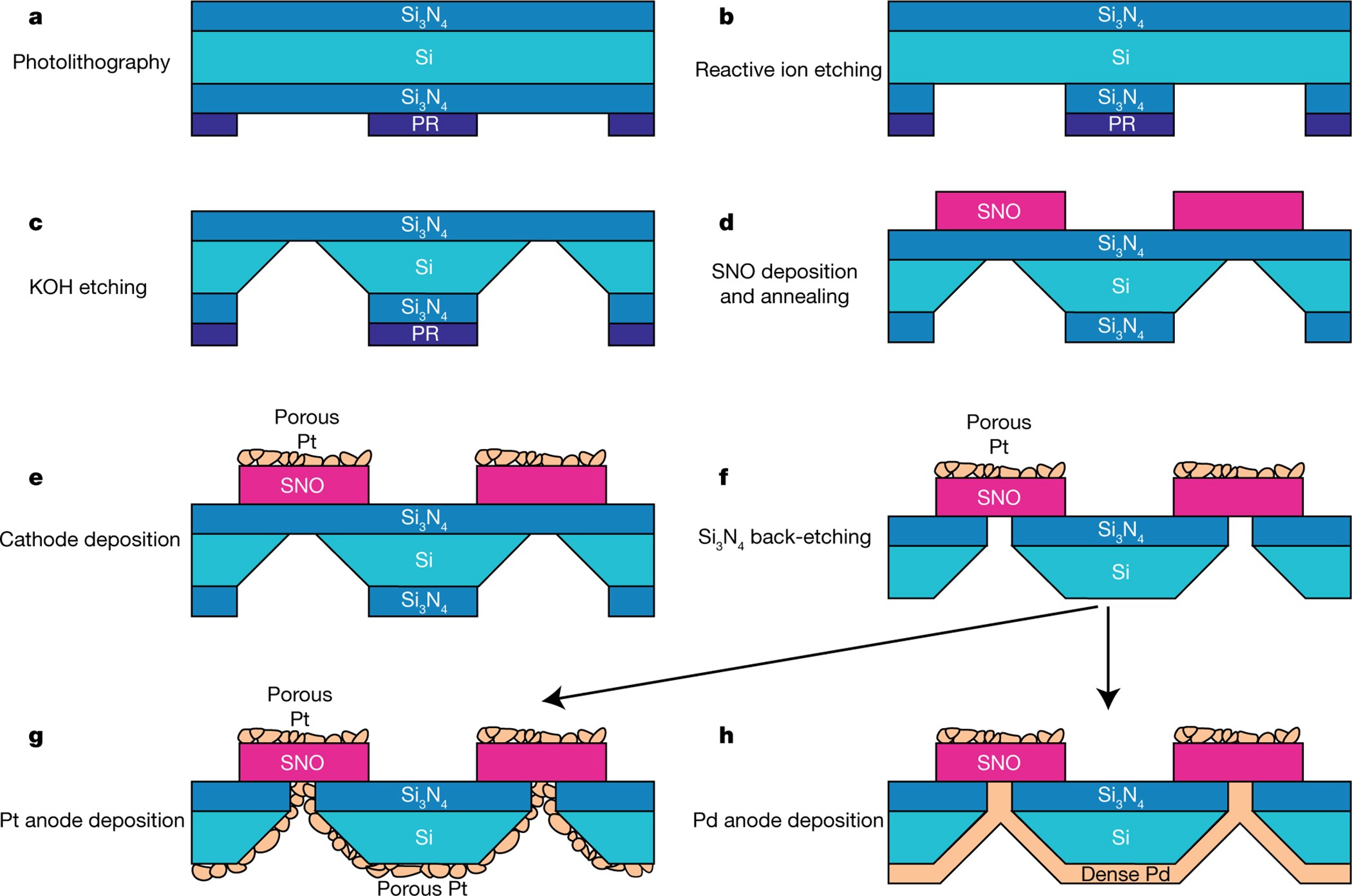 Extended Data Figure 3: A schematic of the fabrication process of fuel cells with free-standing SNO membranes as the electrolyte.