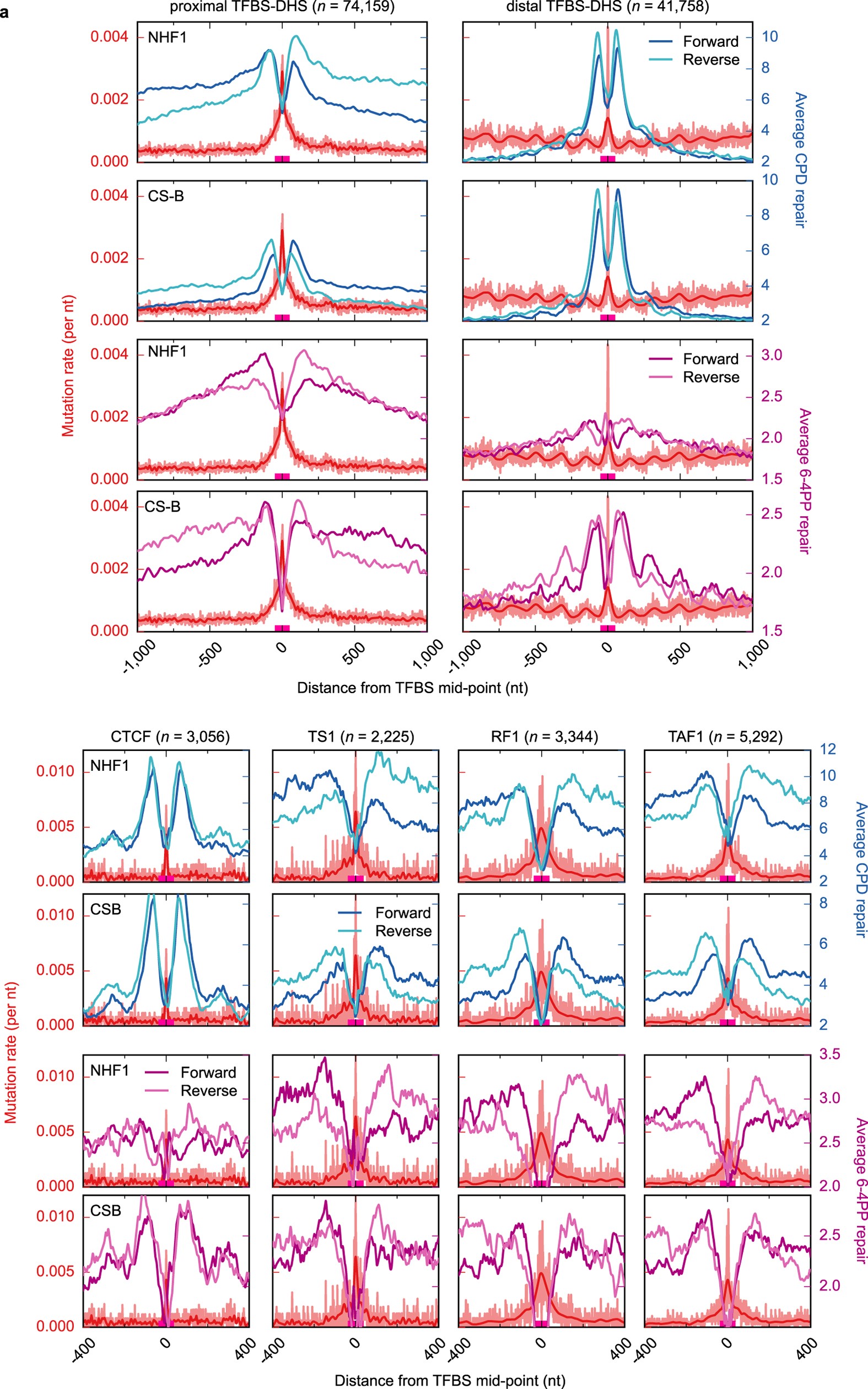 Extended Data Figure 4